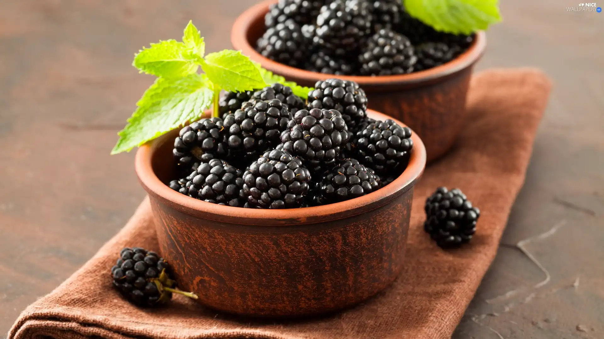 blackberries, Bowls, tea-towel, leaves
