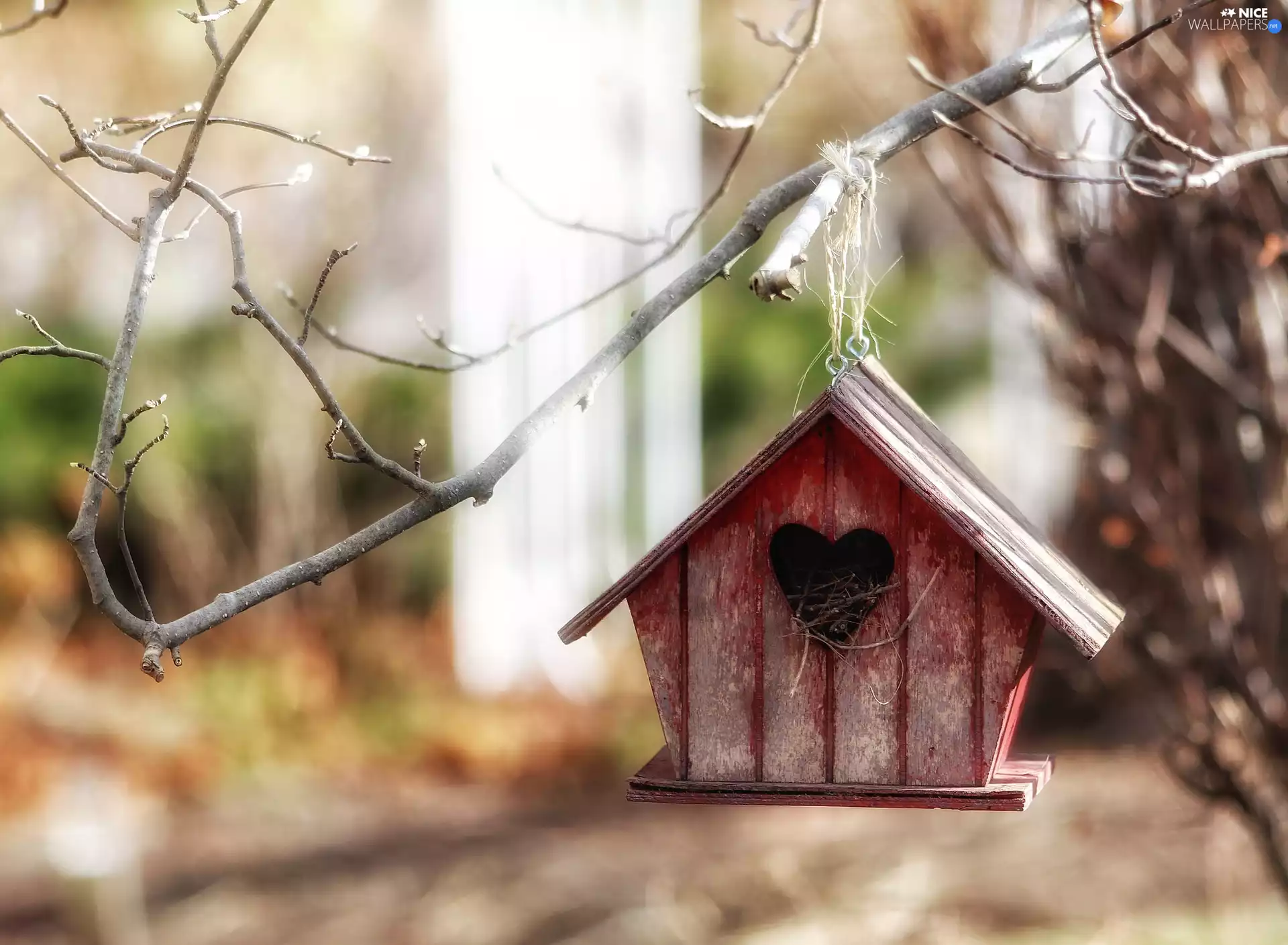 Home, twig, Nesting Box