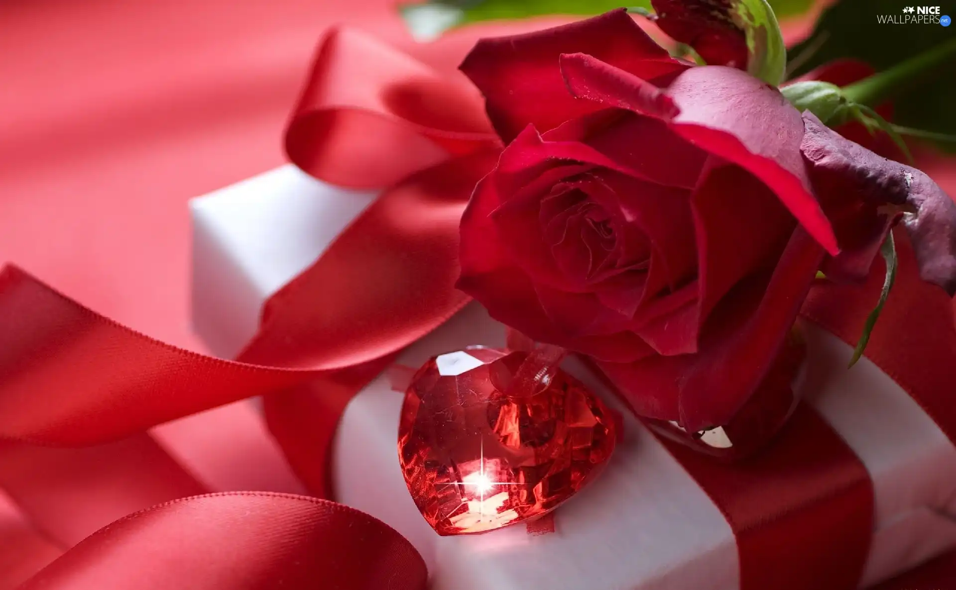 ribbon, Heart teddybear, rose, Box, red hot
