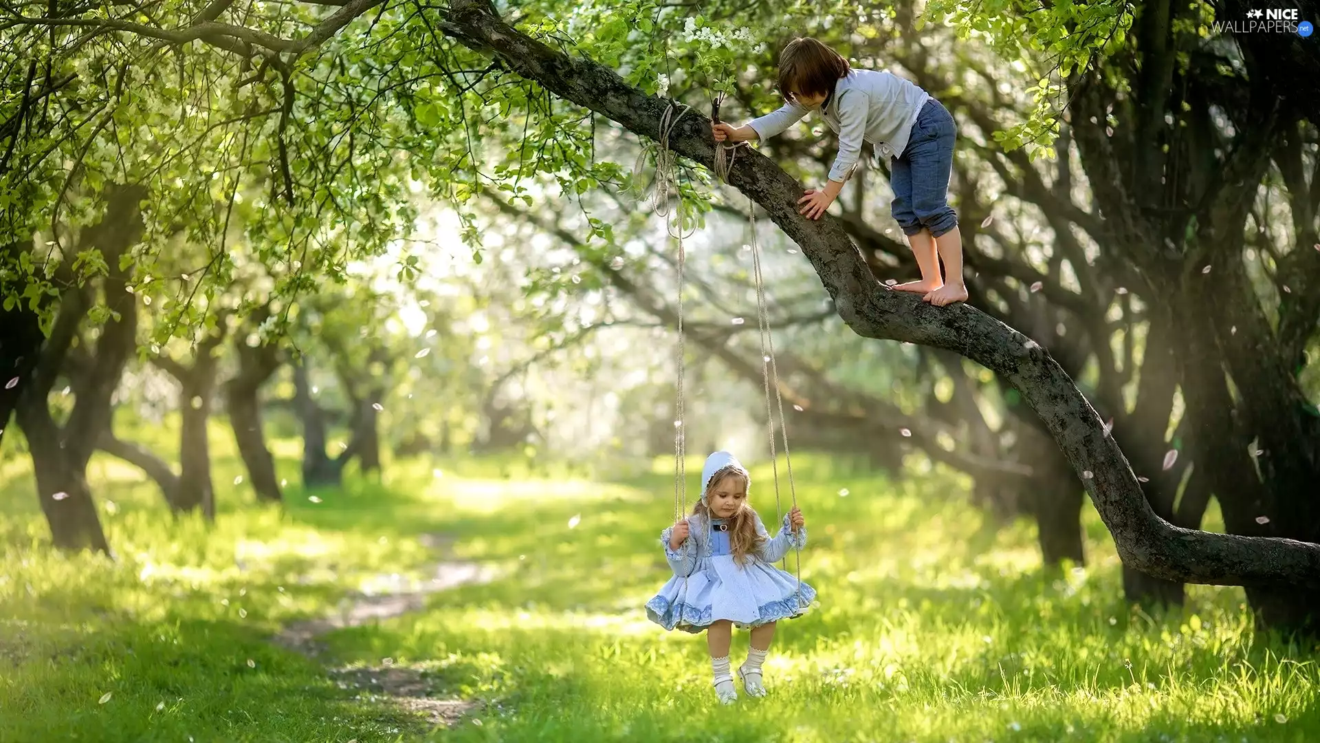 Swing, light breaking through sky, girl, trees, boy