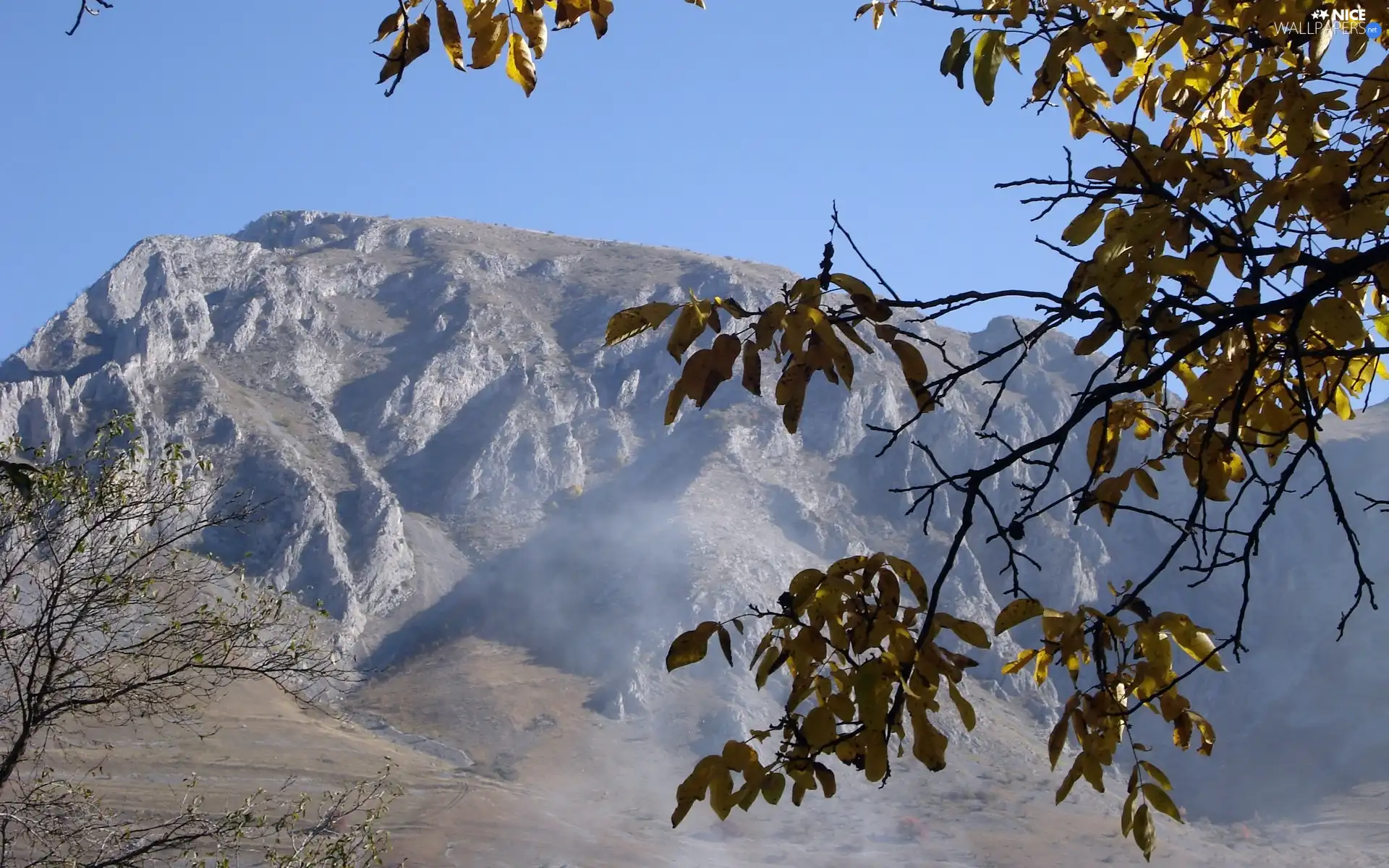 Leaf, Mountains, branch pics