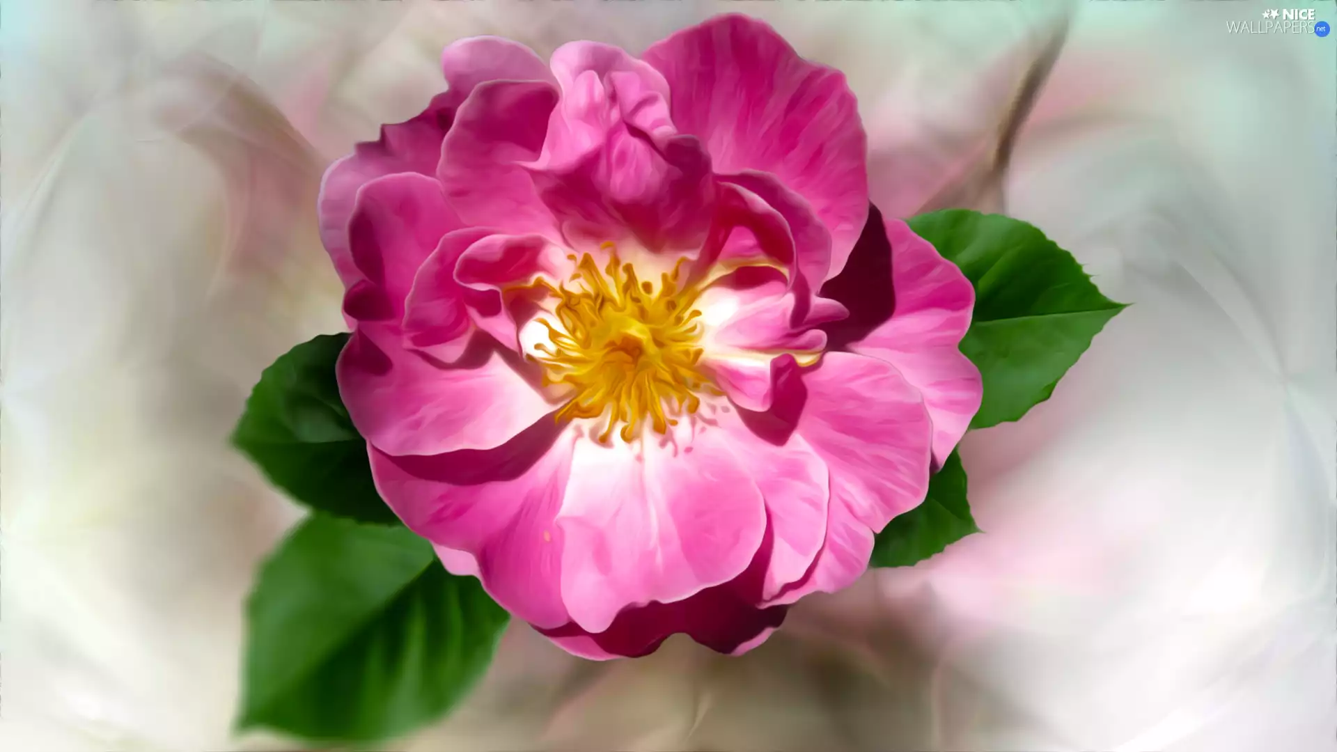 graphics, Colourfull Flowers, Briar