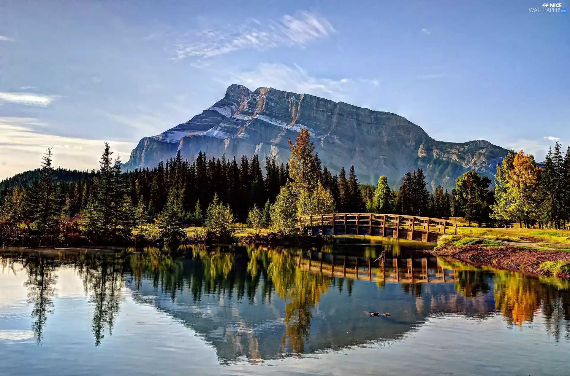 River, bridge, autumn, forest, Mountains