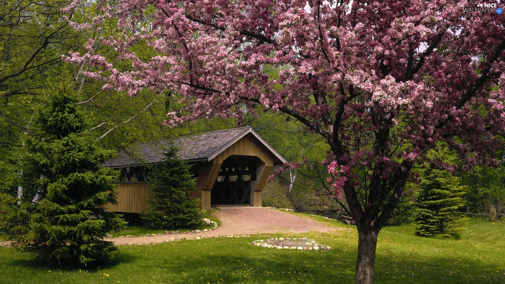 flourishing, covered, bridge, trees
