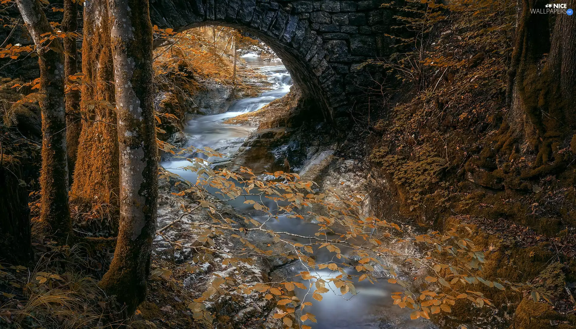 stone, bridge, forest, River, autumn