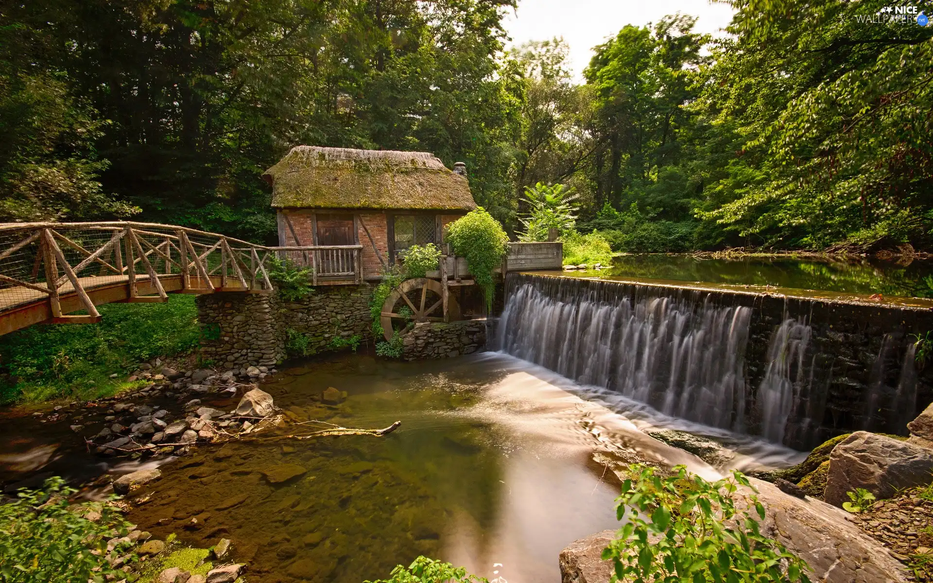 bridge, forest, Windmill, water, River