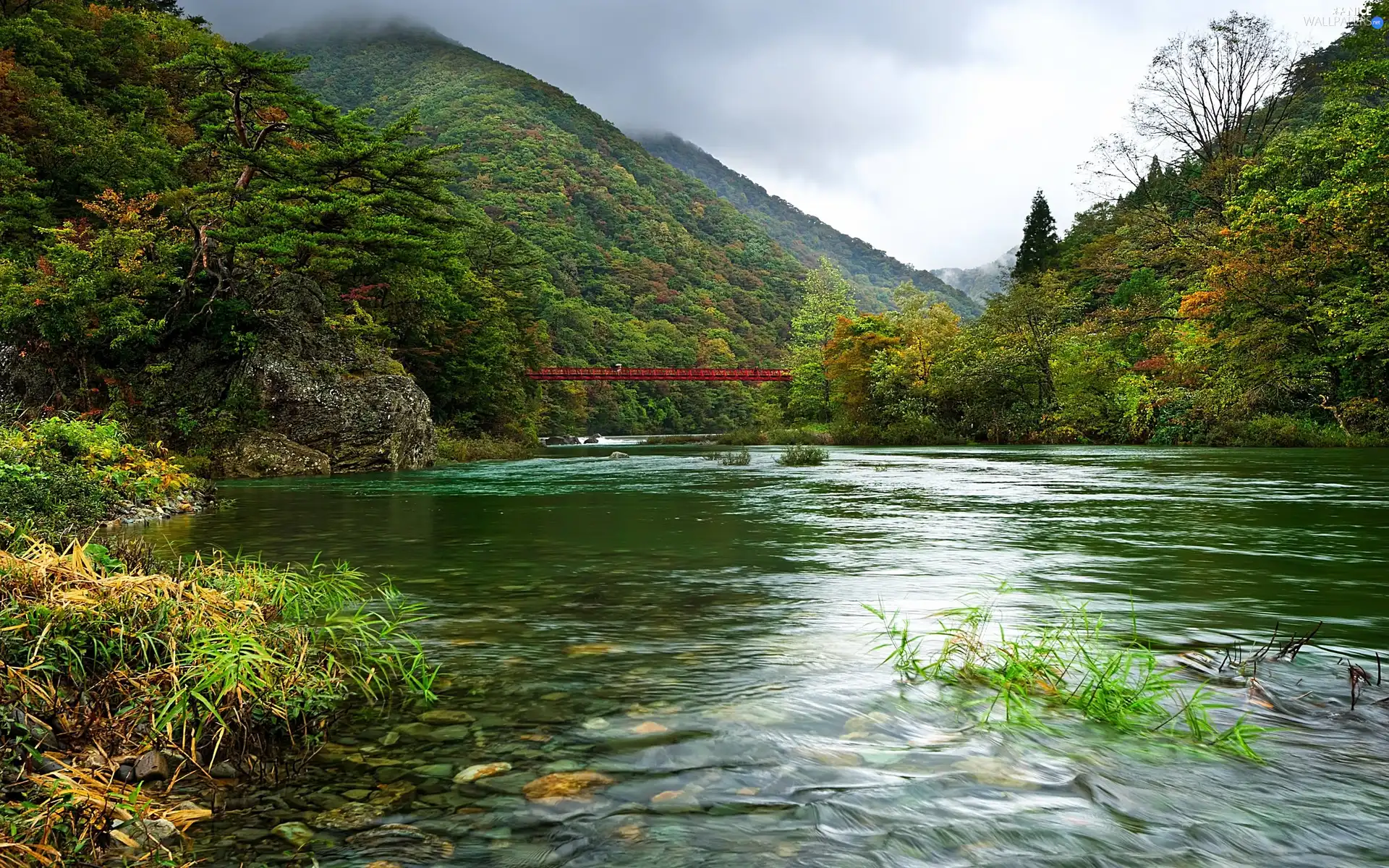 Mountains, River, bridge, woods