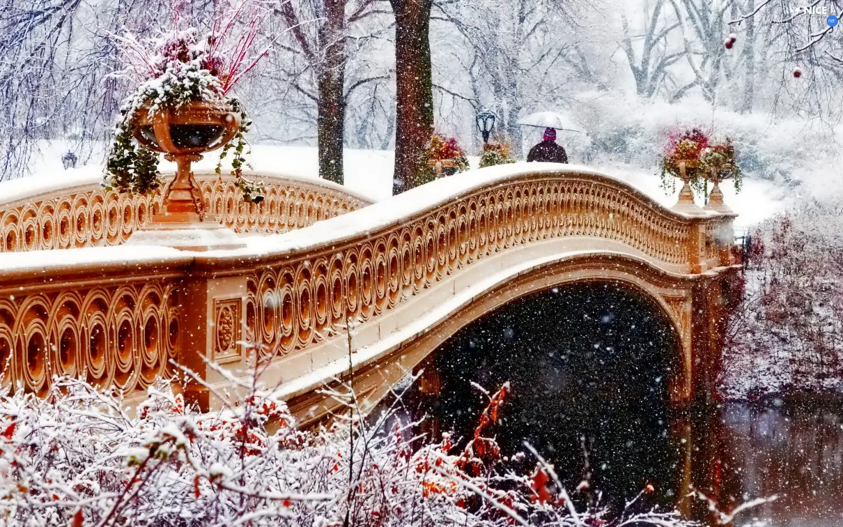bridge, winter, River