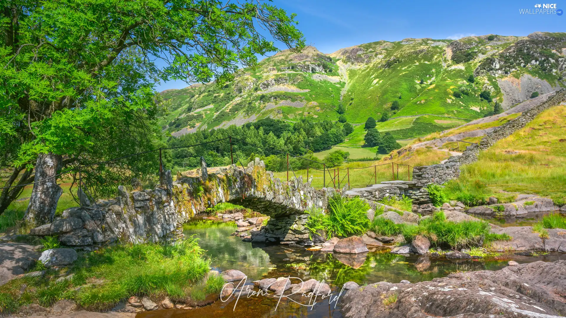 trees, River, Stones, bridge, Mountains, viewes, grass