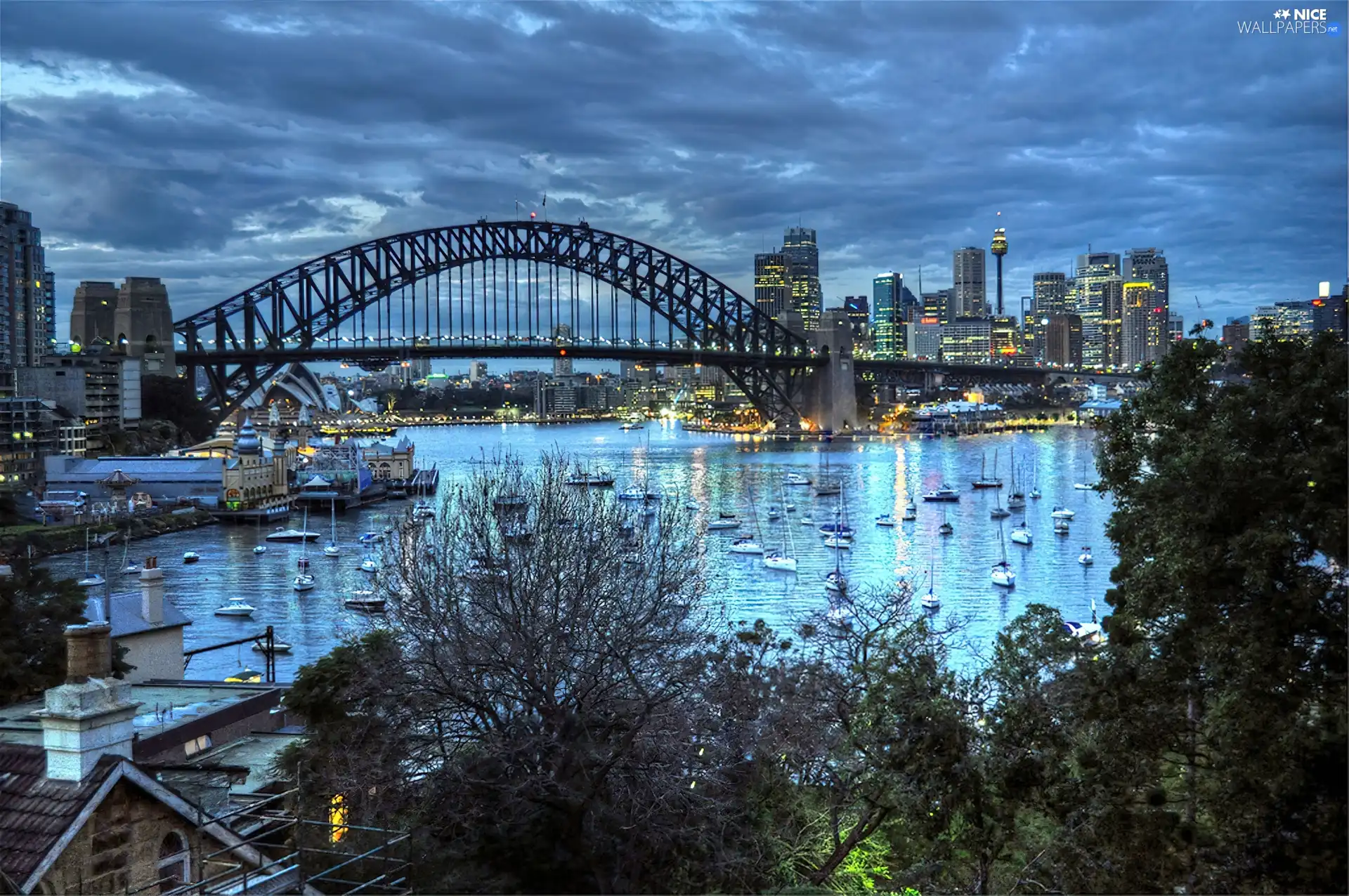 bridge, Australia, Sydney