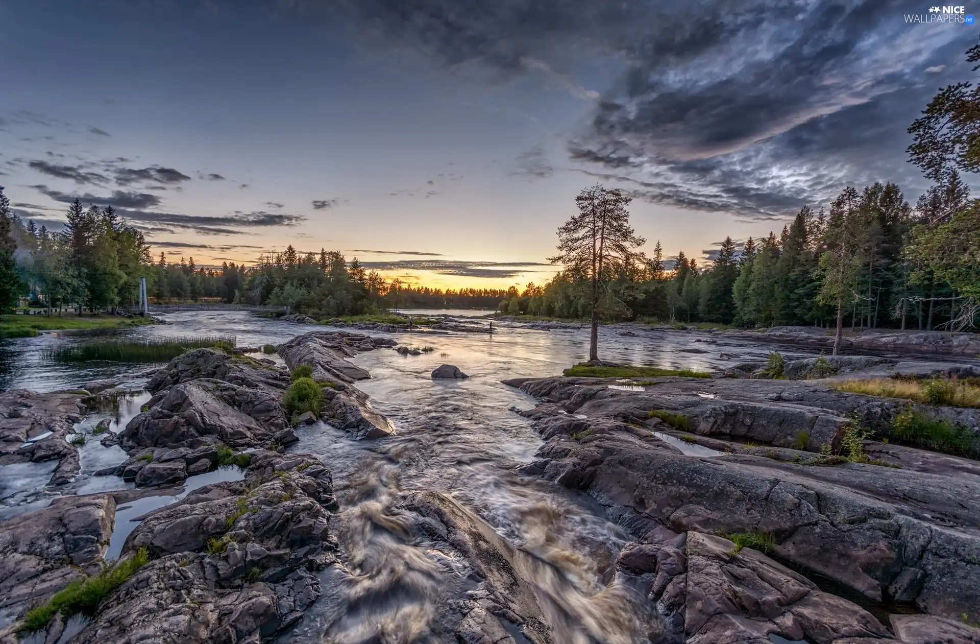 sun, rocks, trees, east, River, bridge, viewes