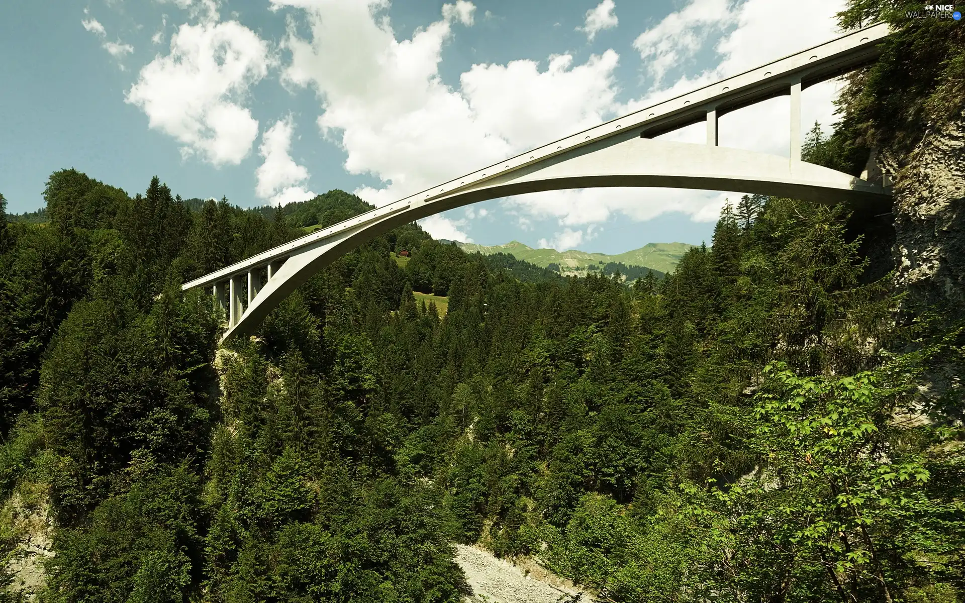 bridge, trees, viewes