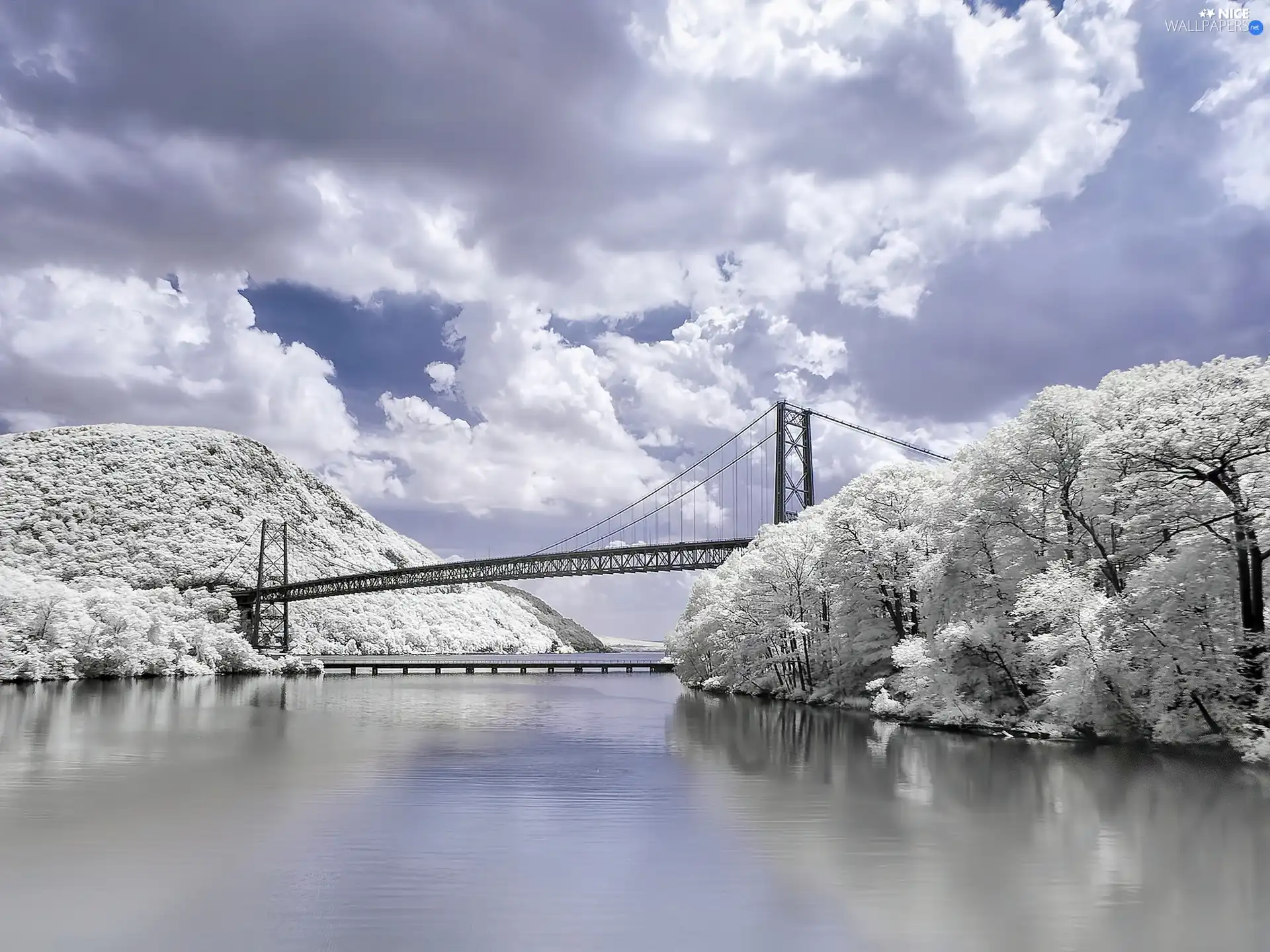 bridge, winter, trees, viewes, River