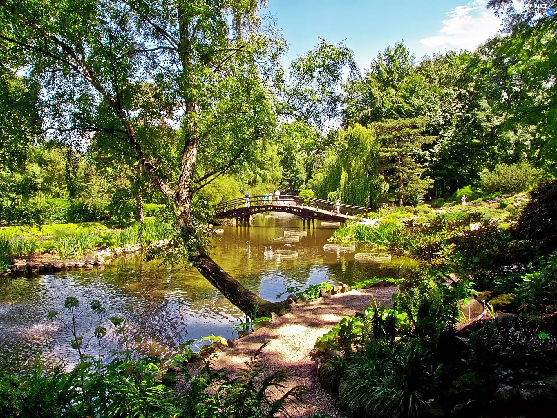 bridges, Park, River