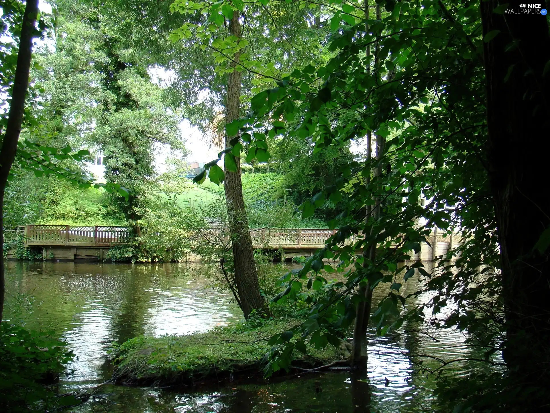 River, viewes, bridges, trees