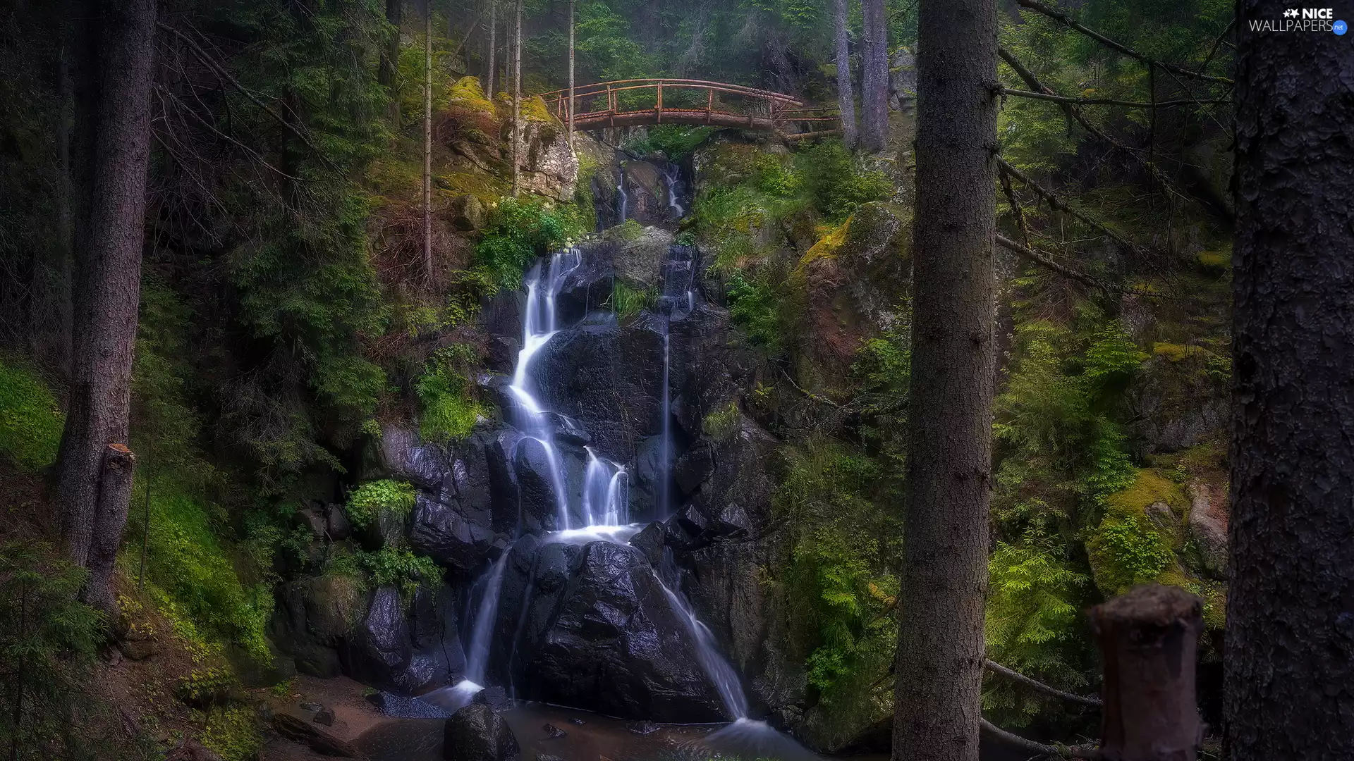wooden, bridges, rocks, forest, waterfall