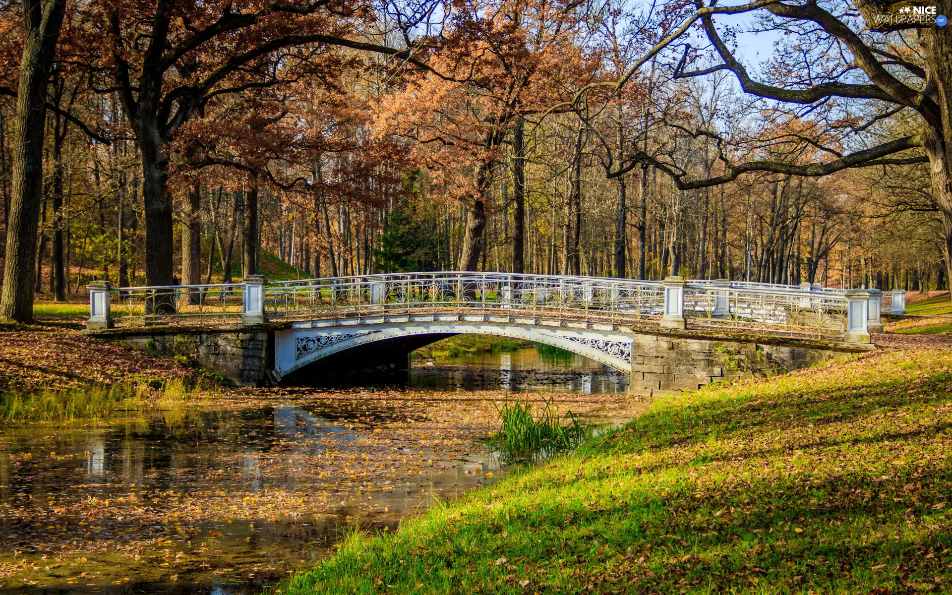 Park, River, viewes, bridges, autumn, trees, grass