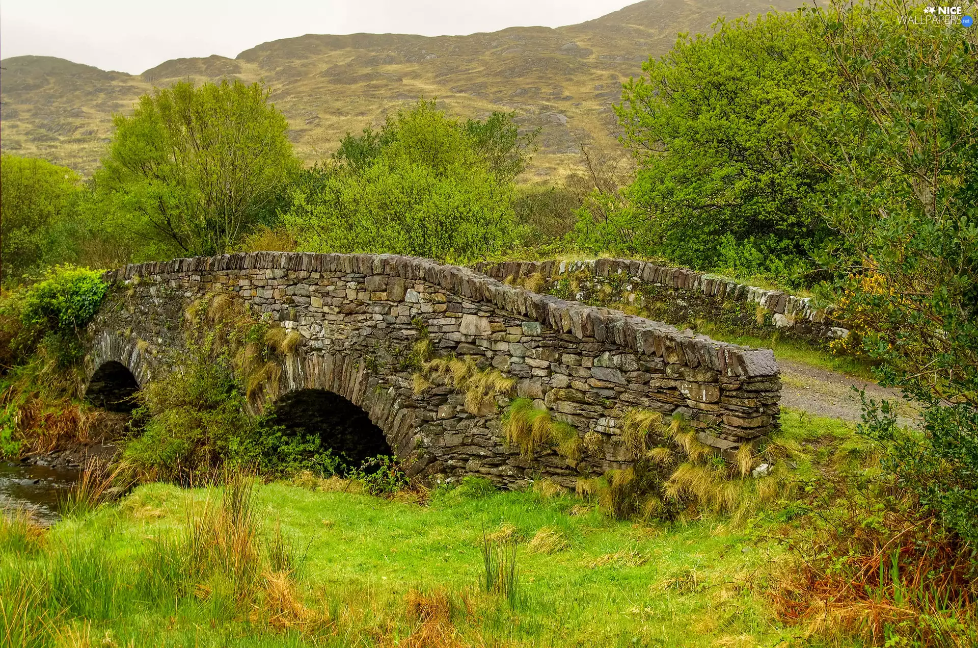 Bush, trees, stone, bridges, grass, viewes