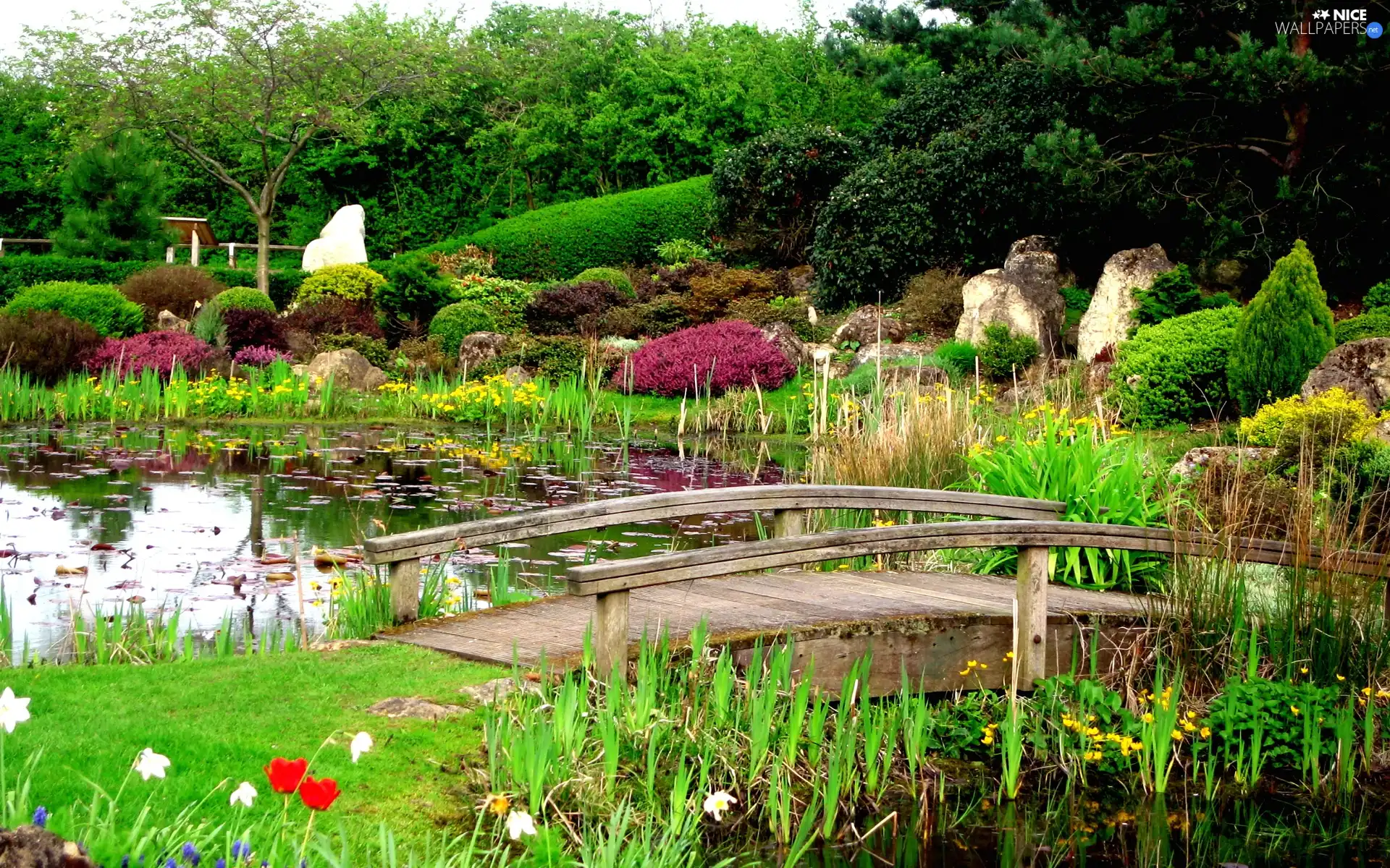 bridges, water, Flowers, green, Garden