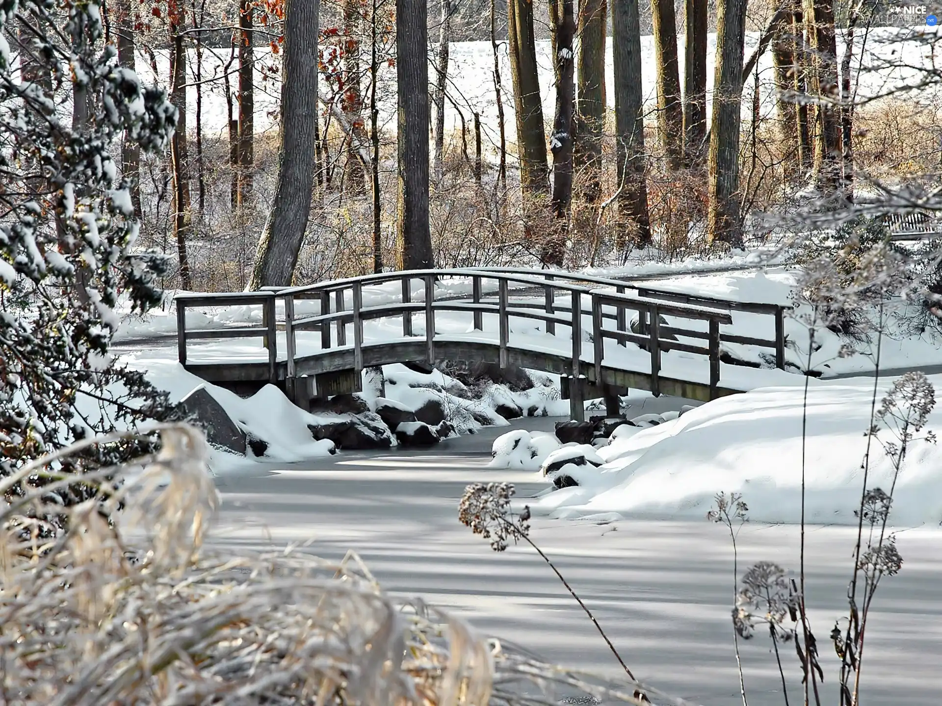 winter, brook, bridges, Frozen