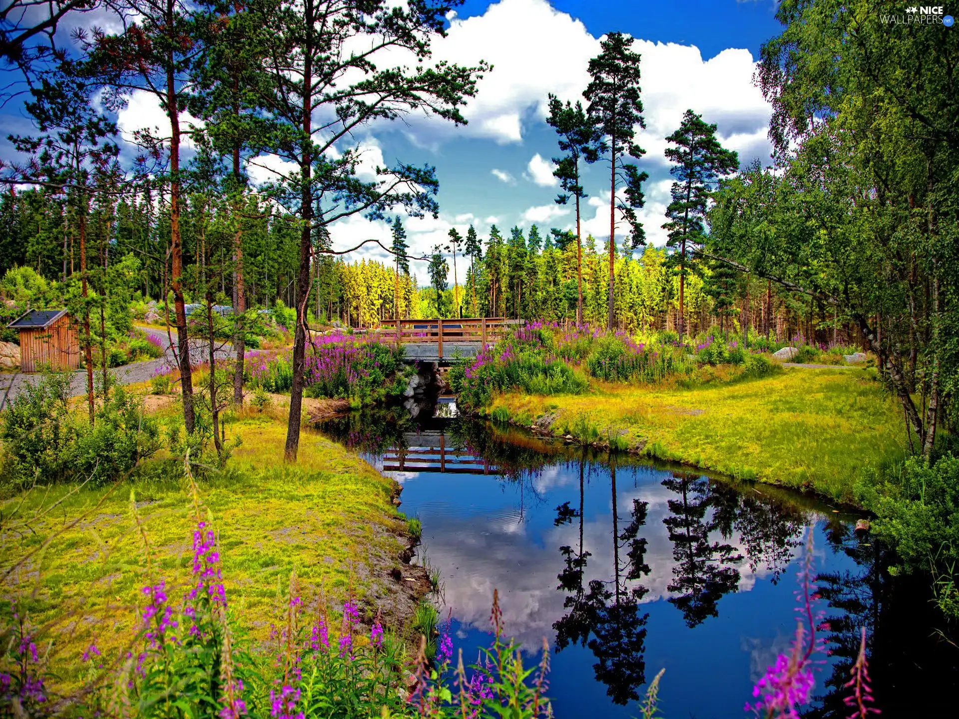 brook, Park, bridges