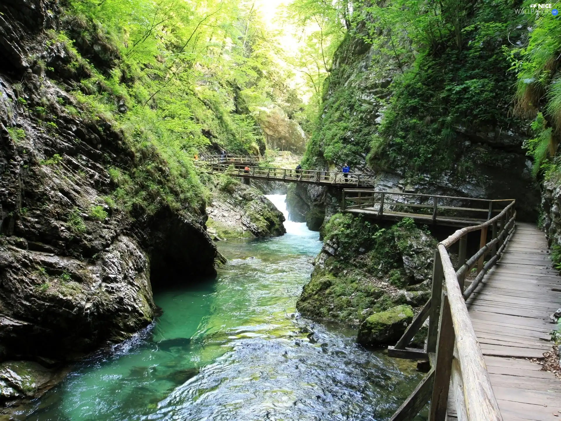 brook, rocks, forest