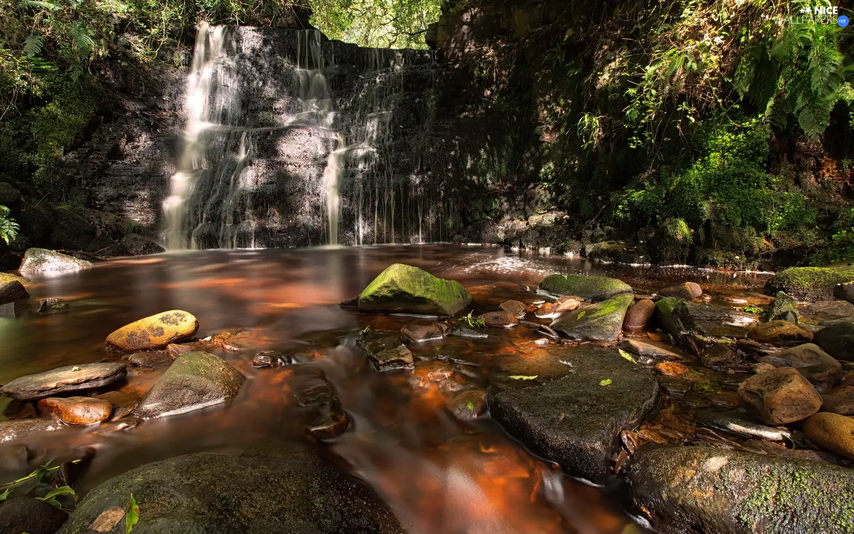 forest, Stones, brook, waterfall