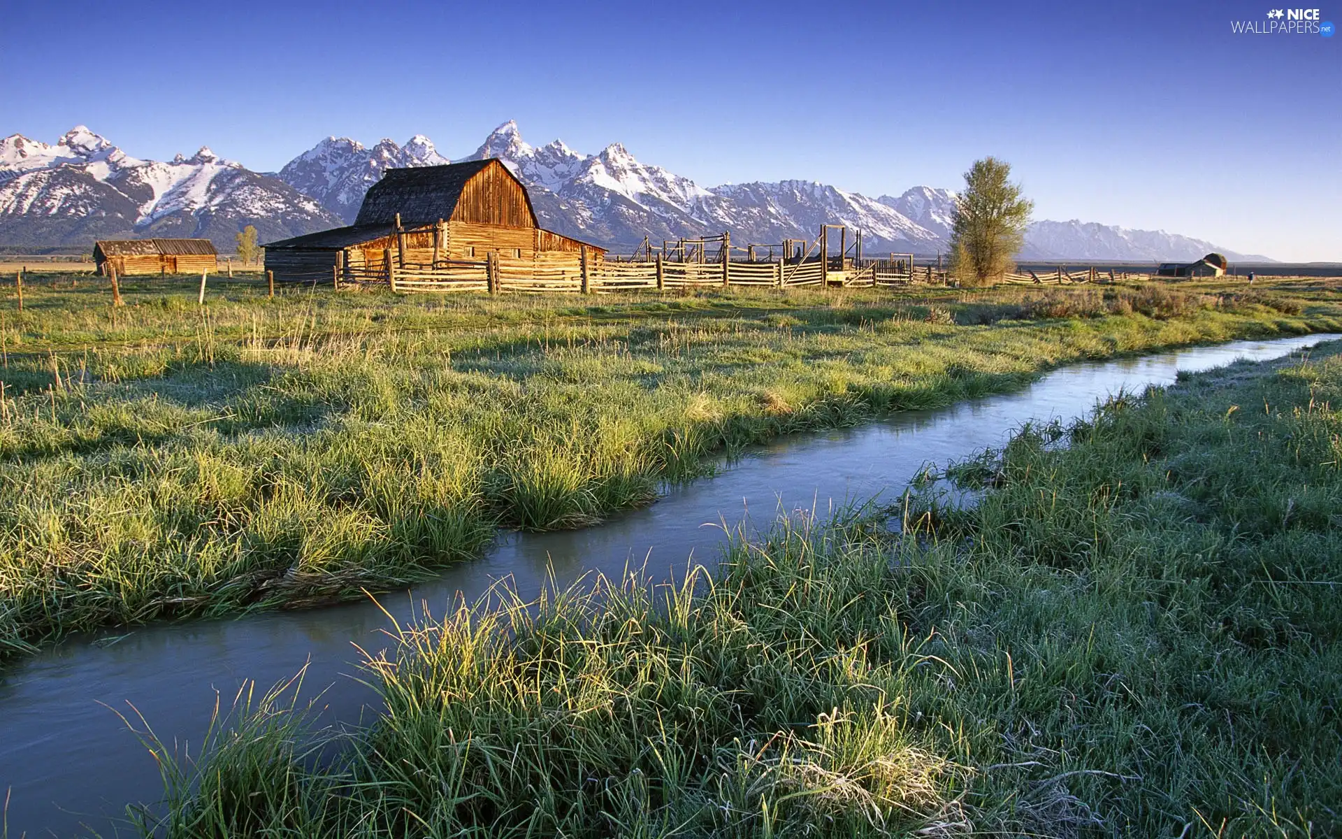 brook, Mountains, Meadow