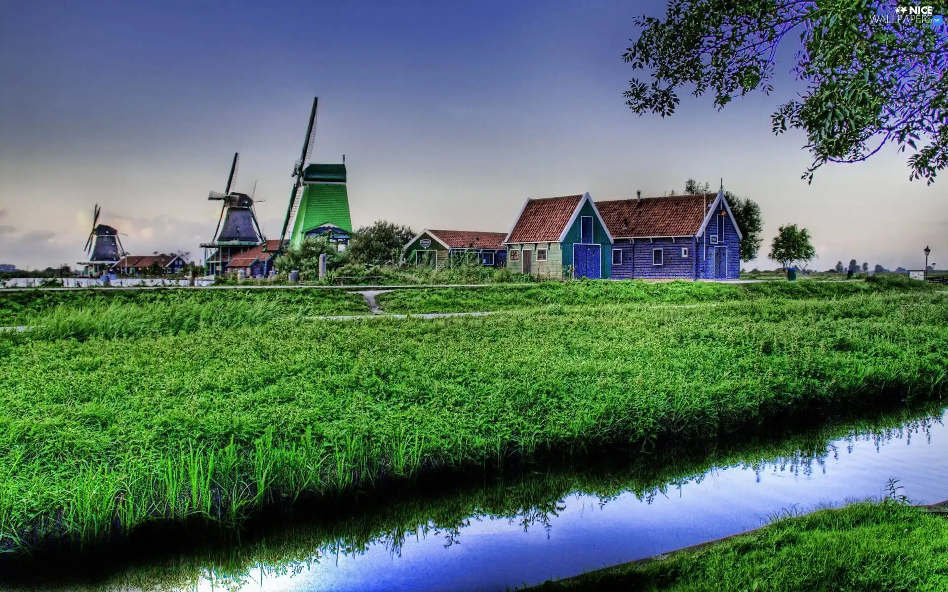Windmills, grass, brook, Houses