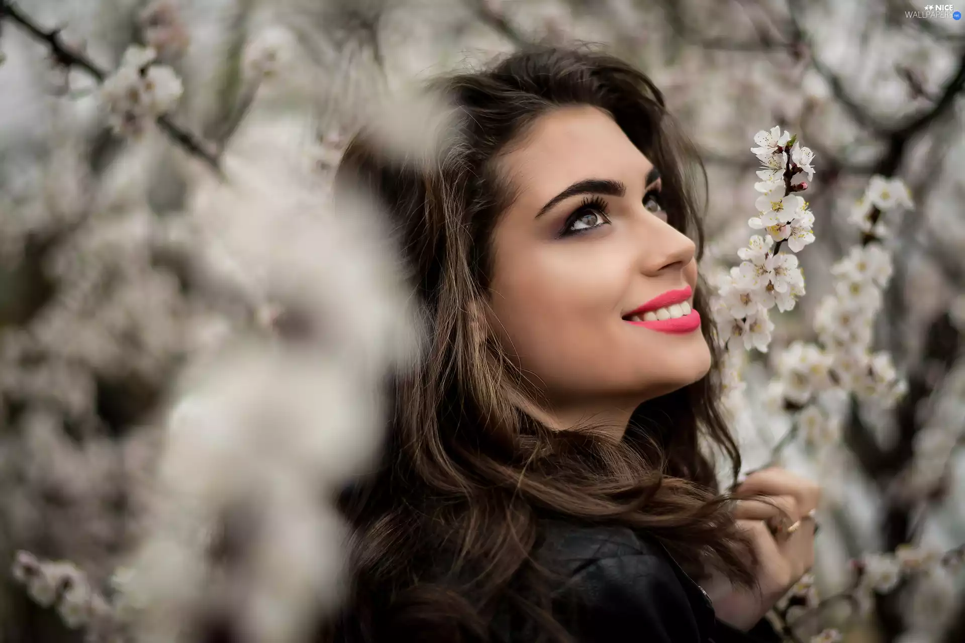 Smile, Women, Flourished, Twigs, make-up, light brown