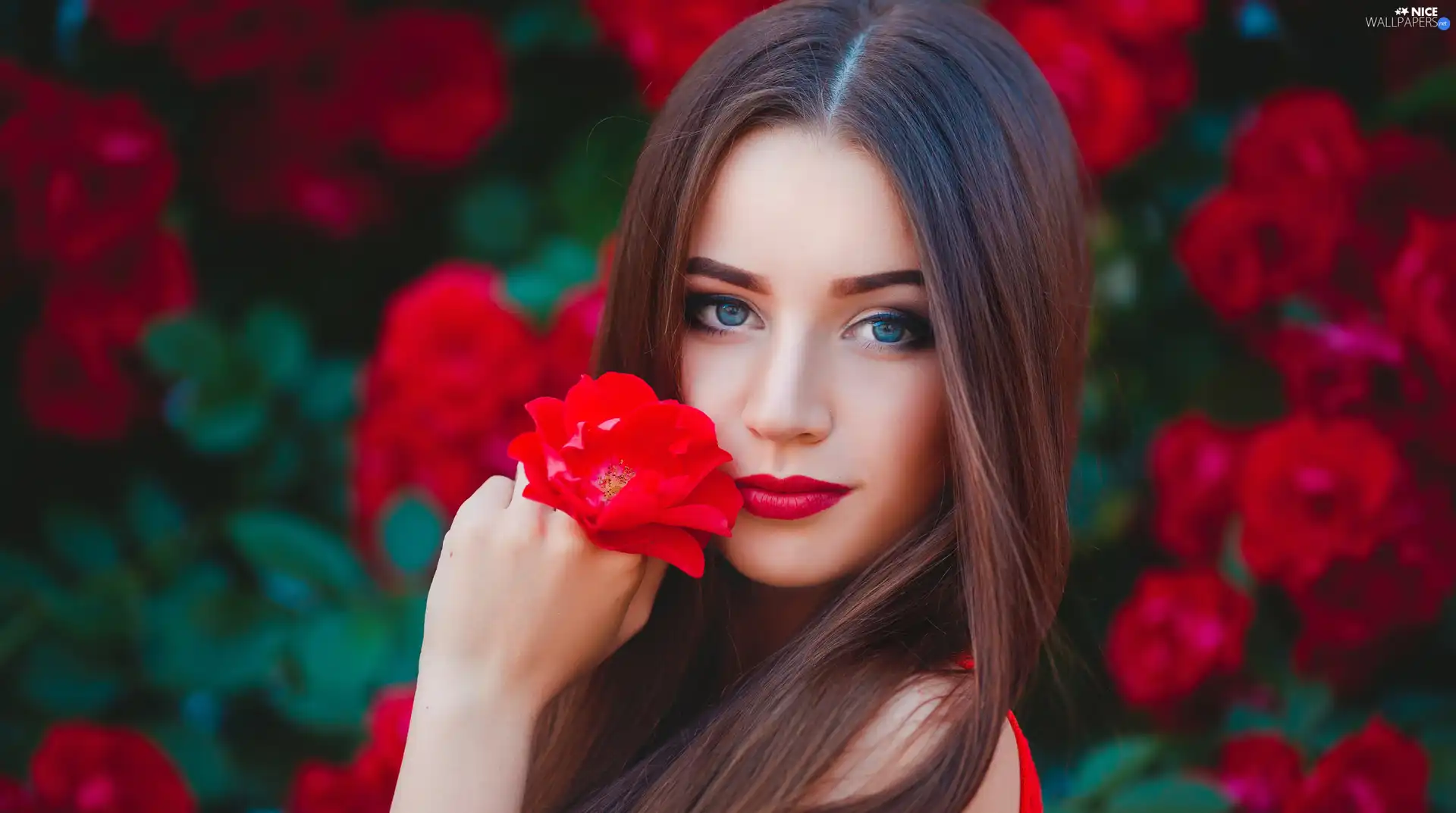 Longs, Women, Red, Colourfull Flowers, Hair, light brown