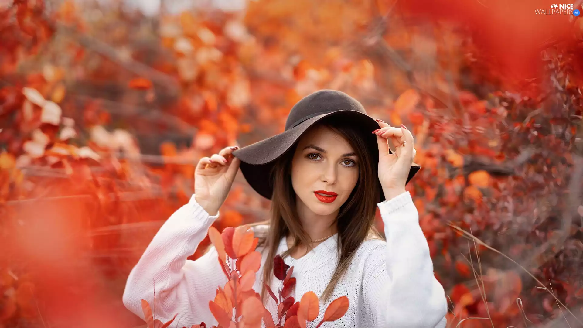 Red, Leaf, light brown, Hat, Women