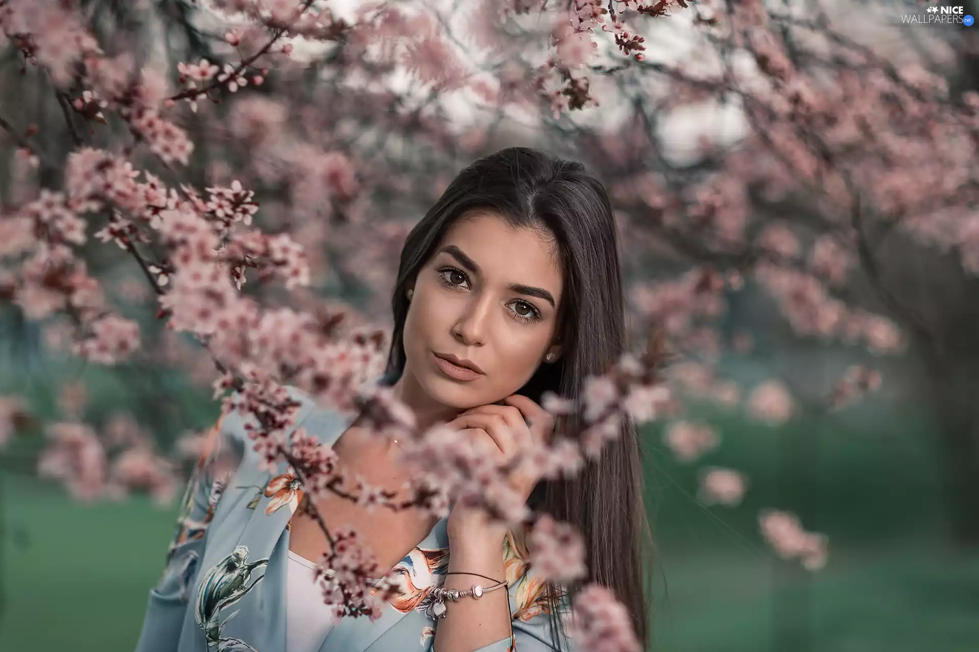 Twigs, Flowers, light brown, Flourished, Women