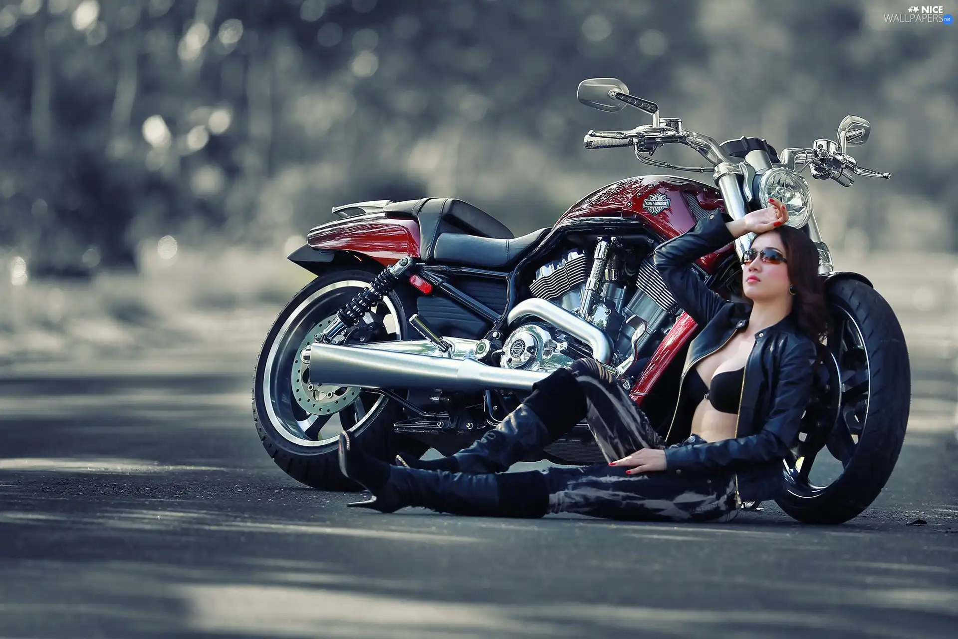 Harley, Beauty, brunette, Davidson