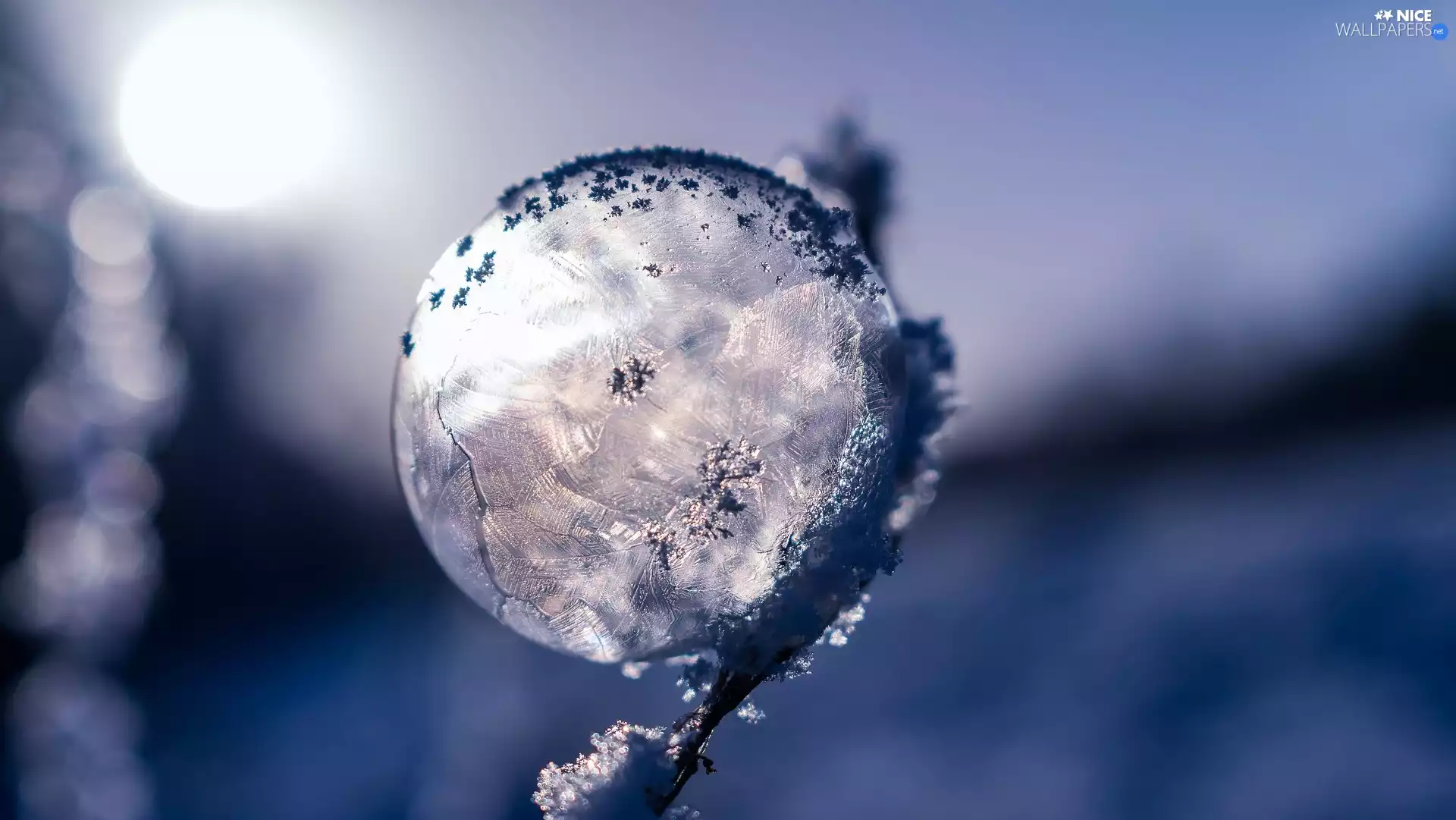 blurry background, frosted, bubble