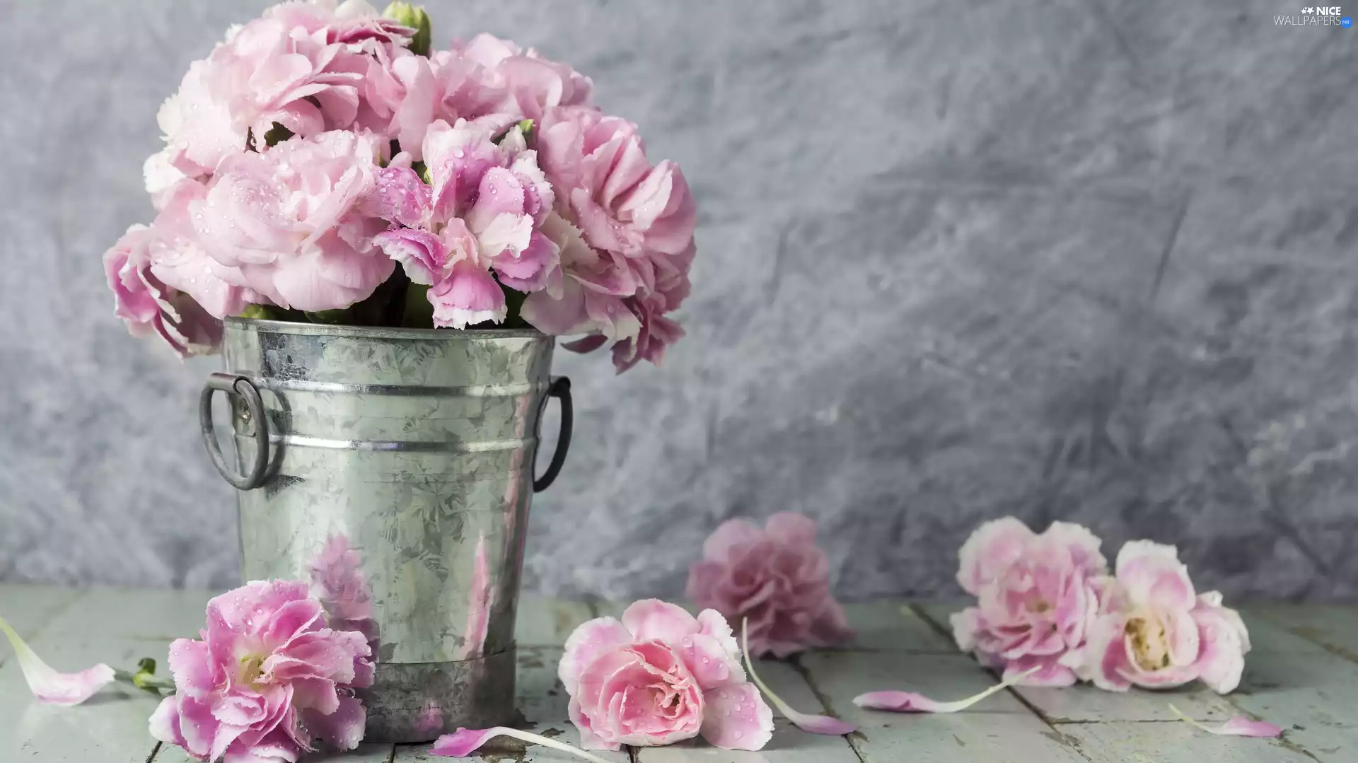 Flowers, Bucket, decoration, Clove Pink