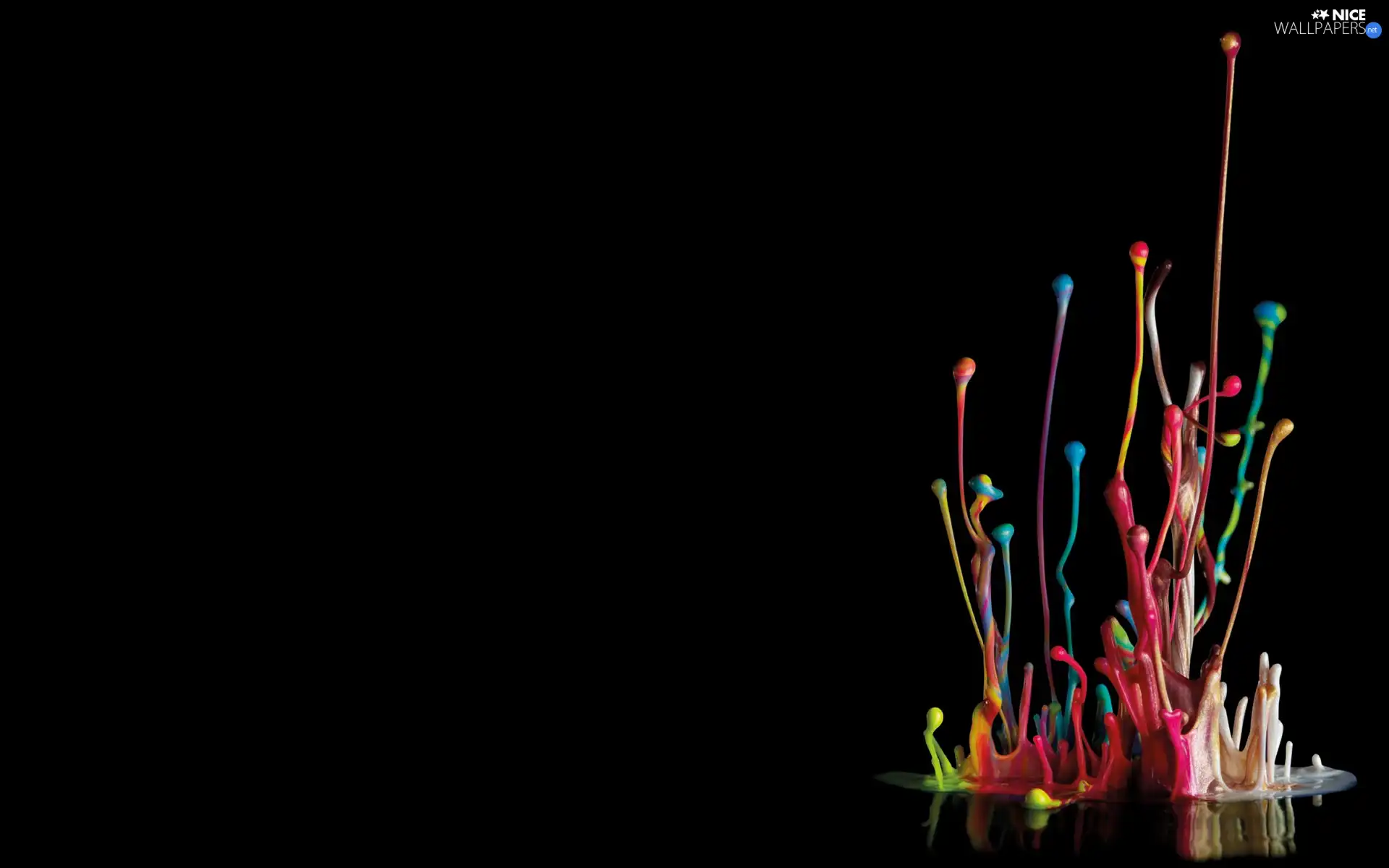 Buds, abstraction, color