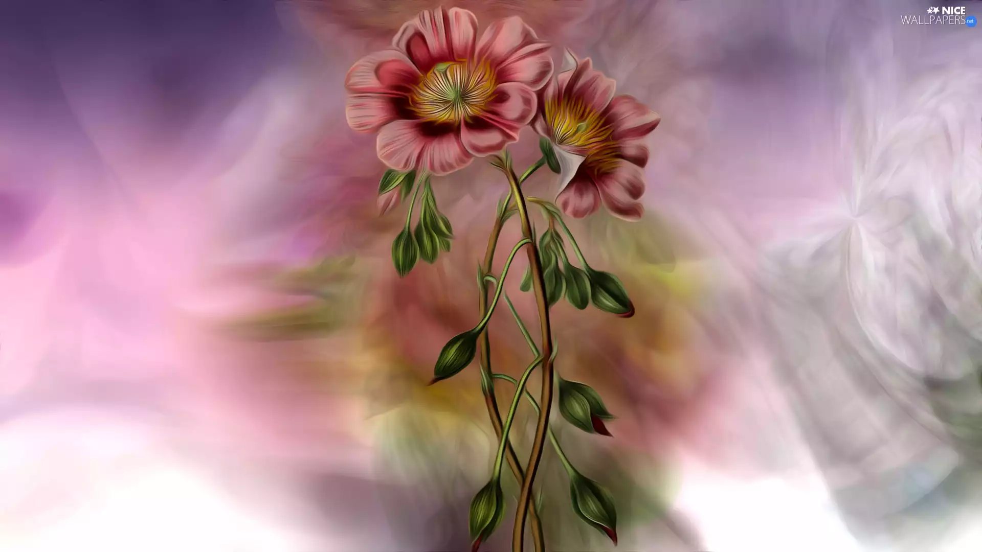 graphics, Colourfull Flowers, Buds