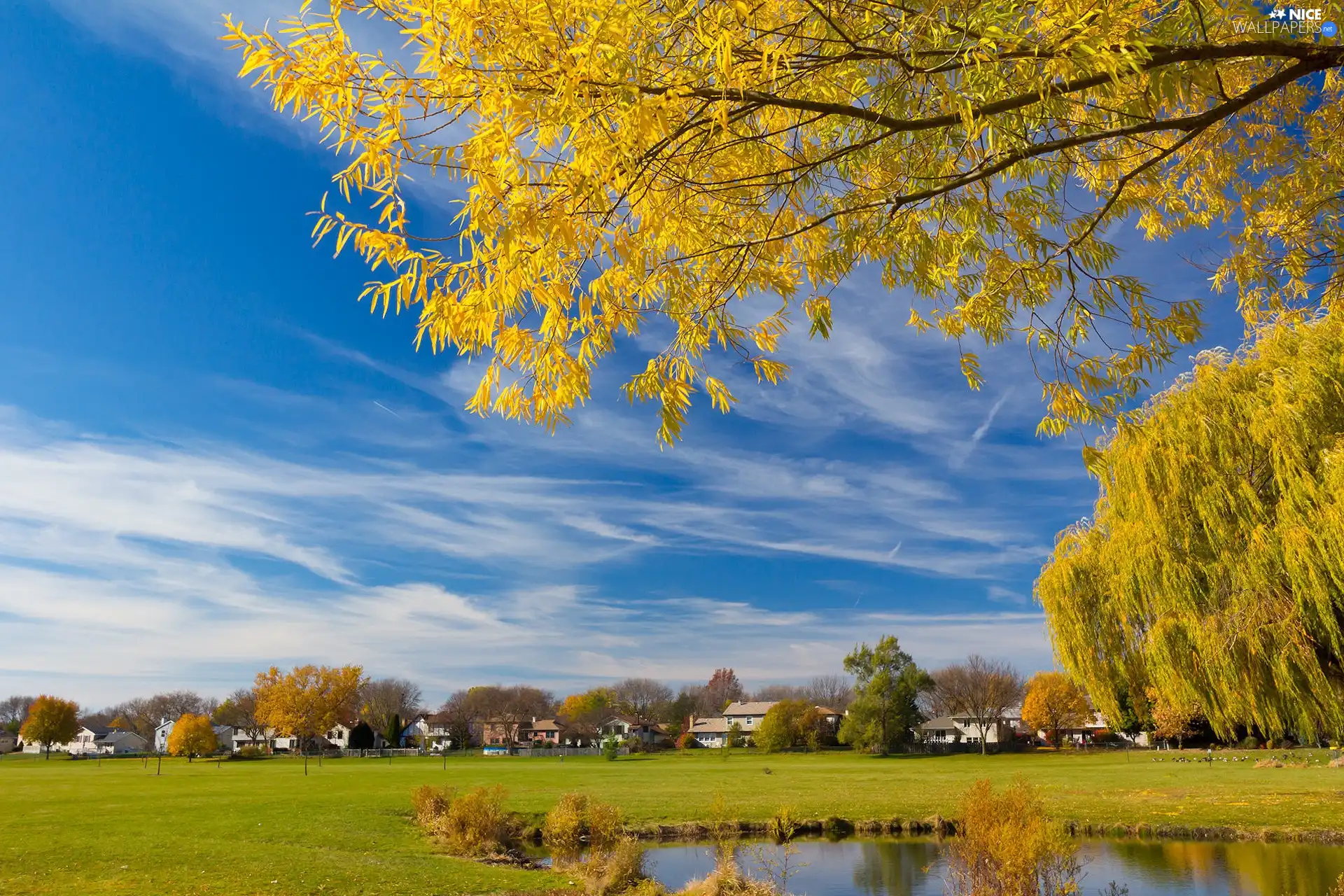 buildings, Pond, Meadow