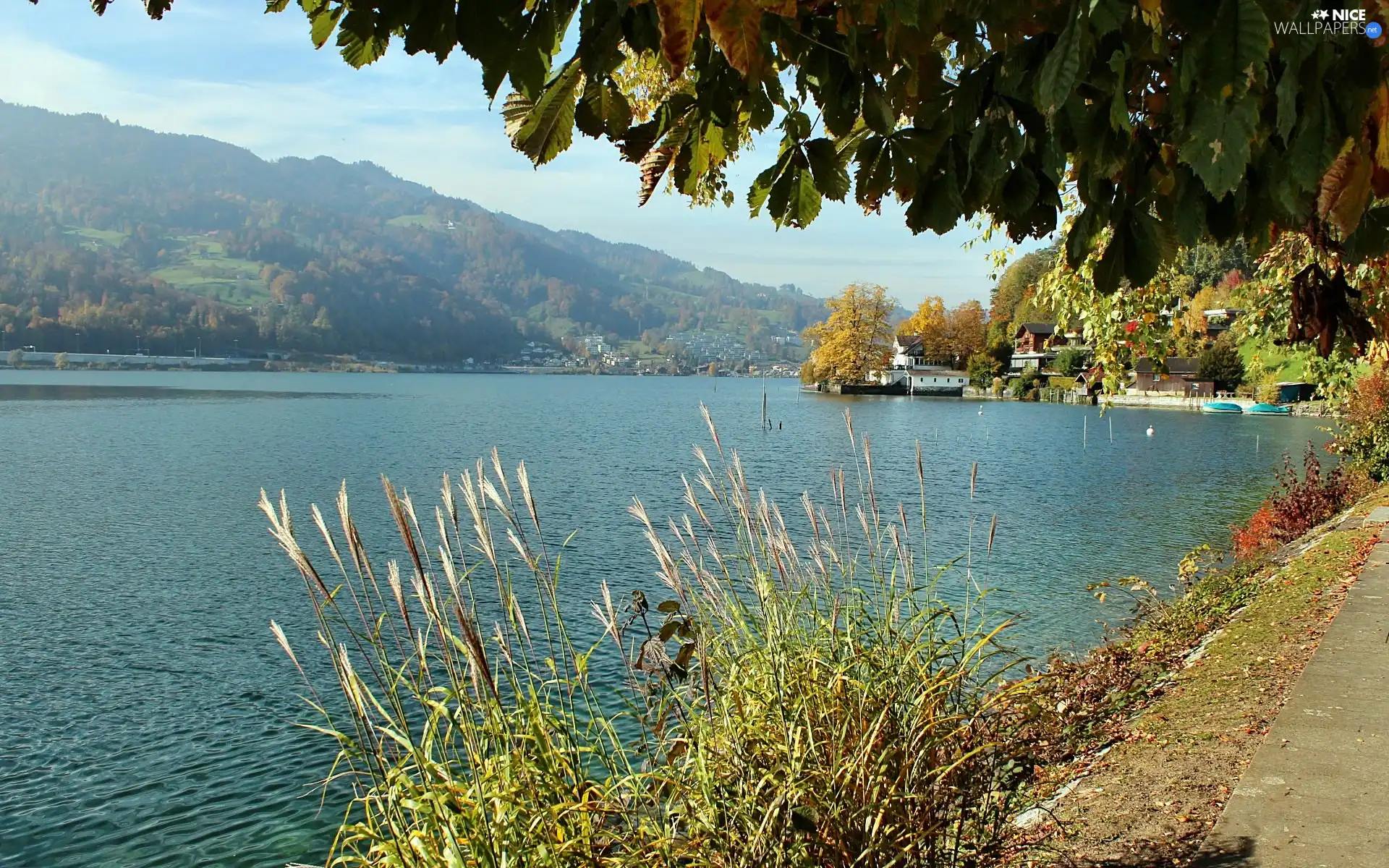 River, Mountains, buildings, trees