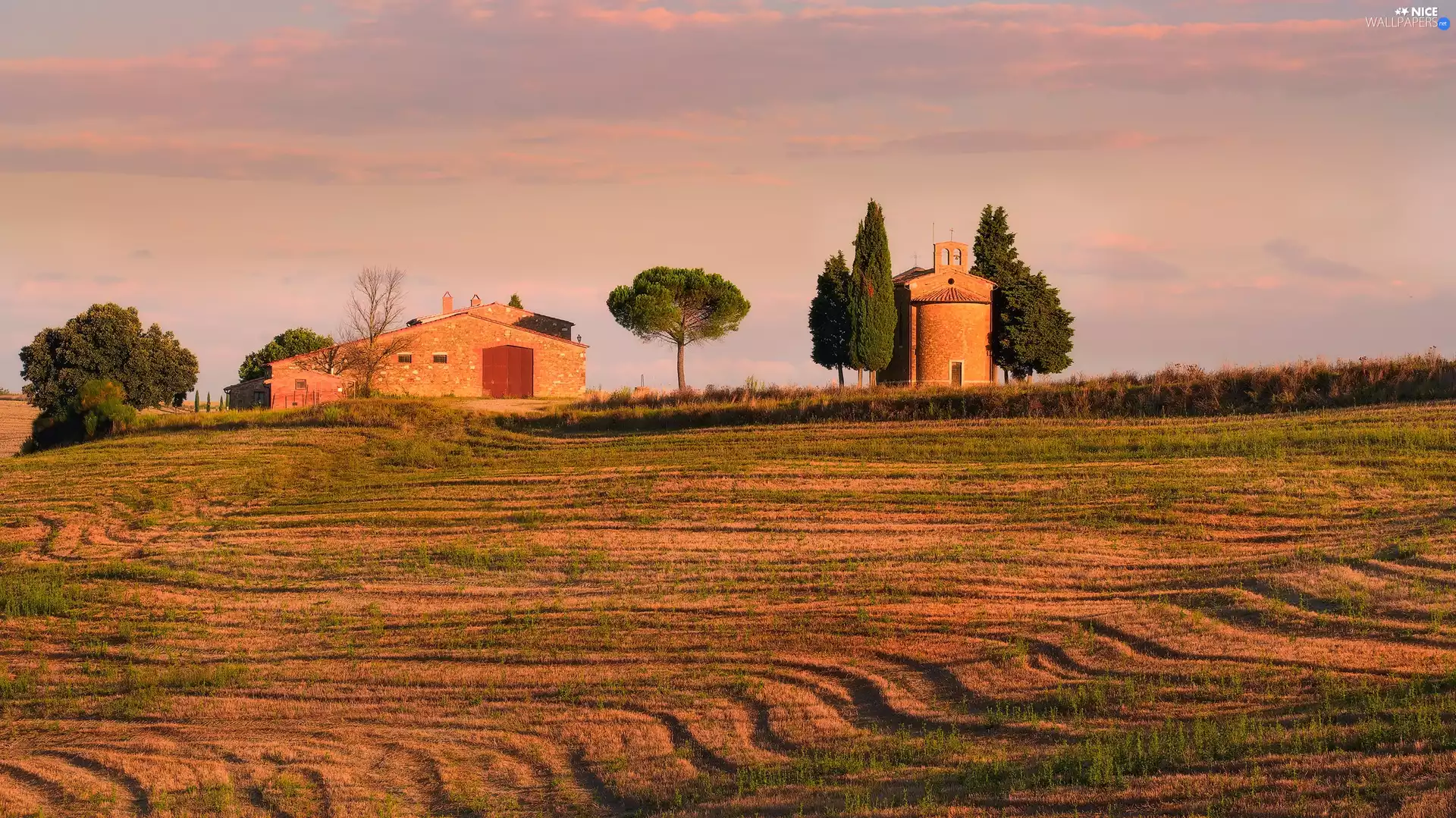 house, buildings, trees, viewes, Field