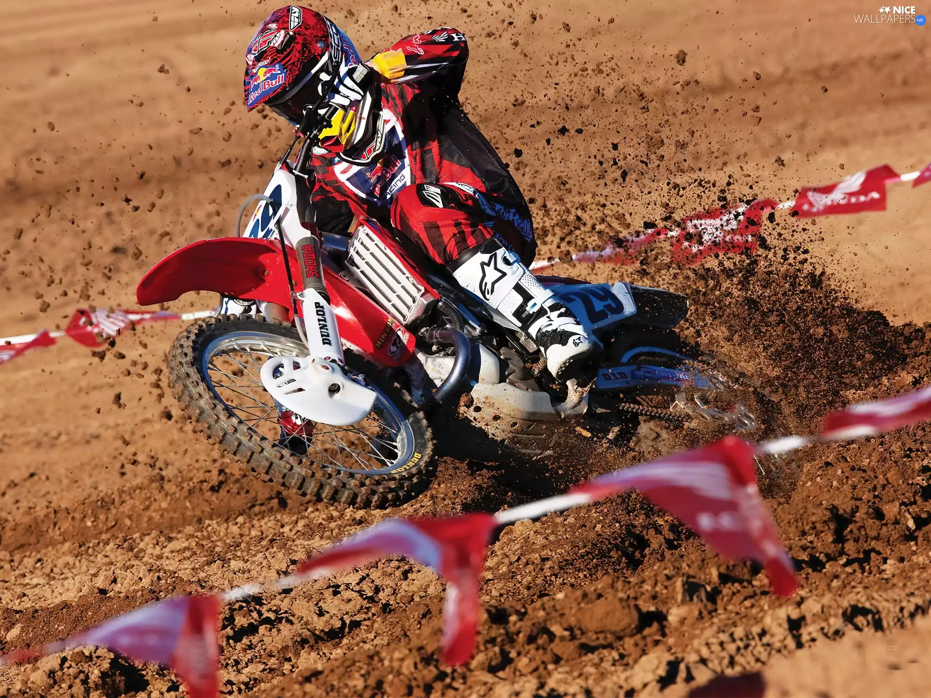 Cross, Team, Red Bull Racing, Honda