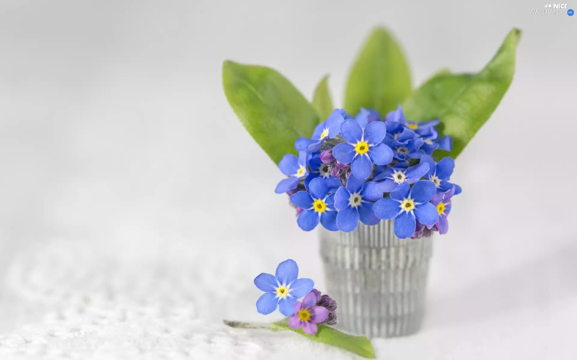 Forget, vase, small bunch