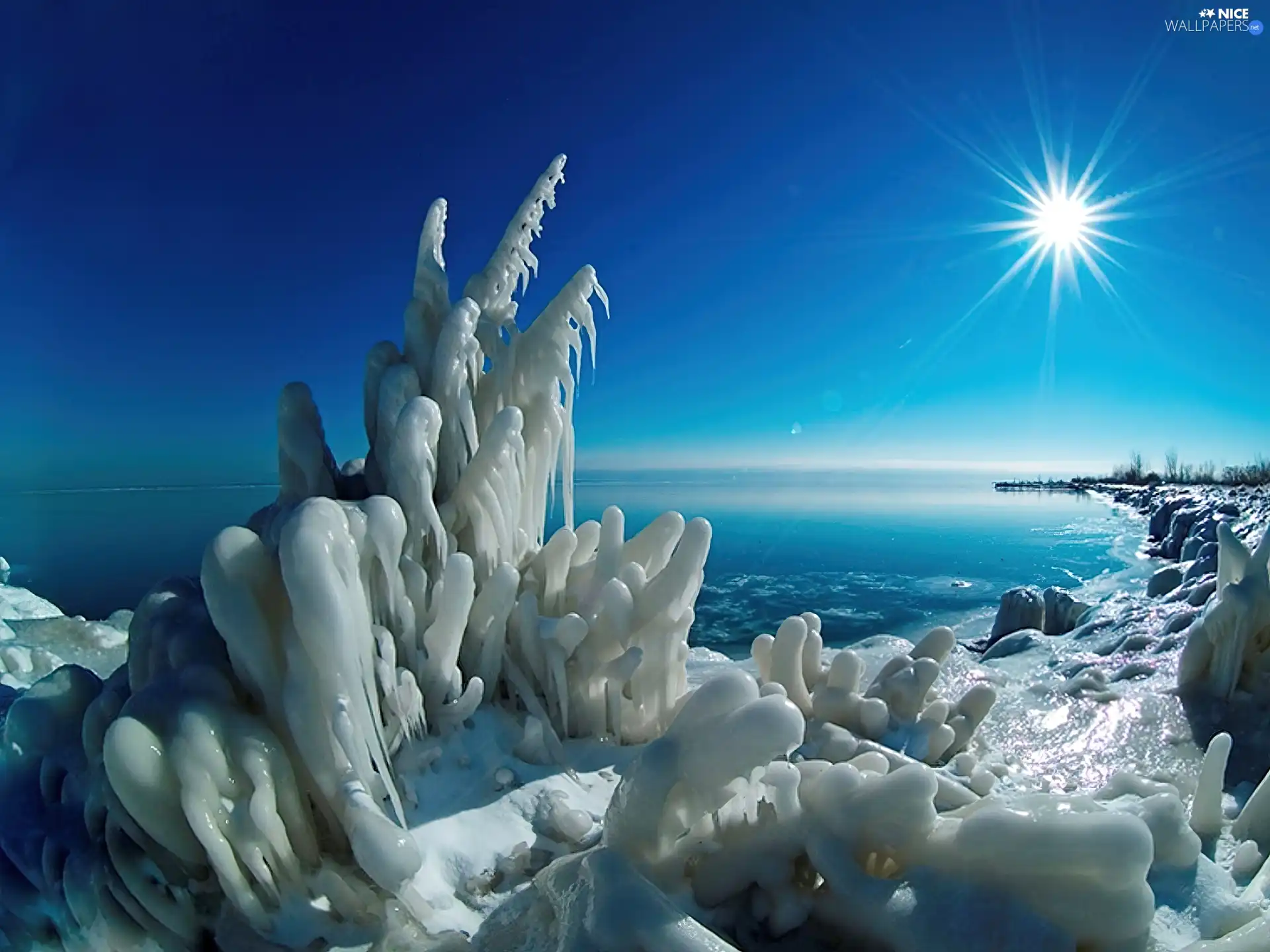 sky, sun, Covered, sea, rays, Bush, ice