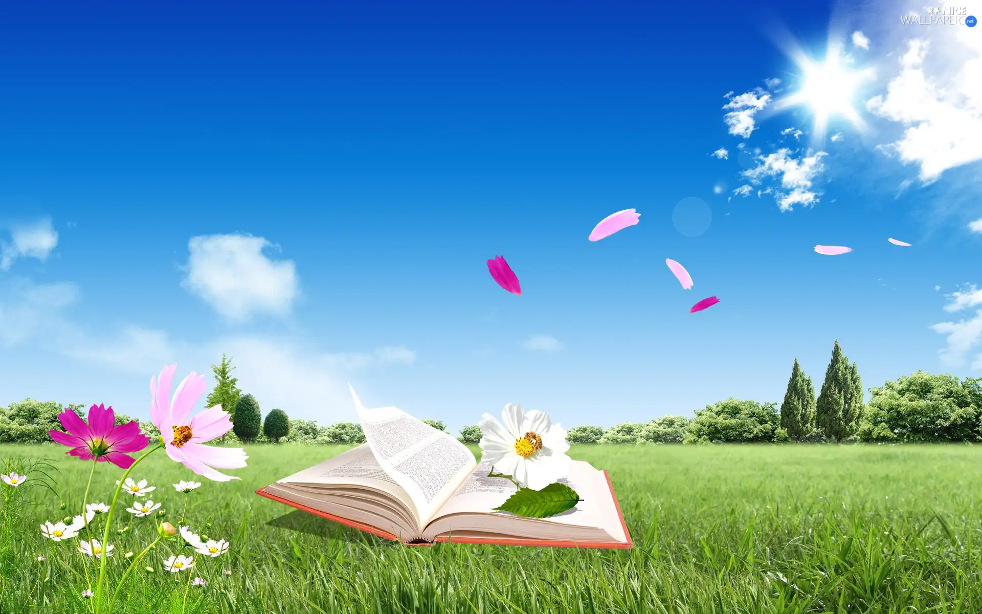 Meadow, Flowers, Bush, Book