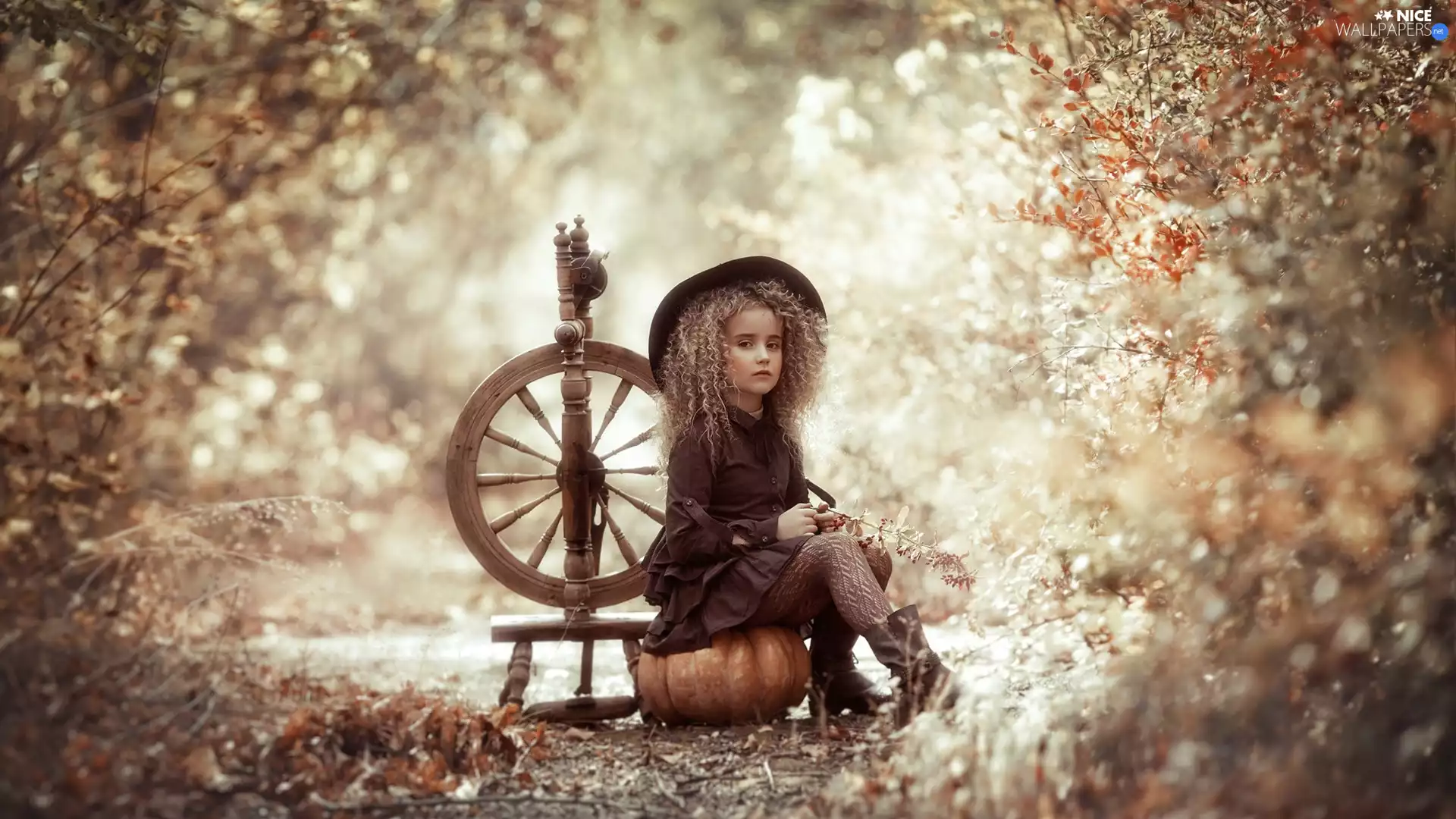pumpkin, Spinning-Wheel, Bush, girl, Park