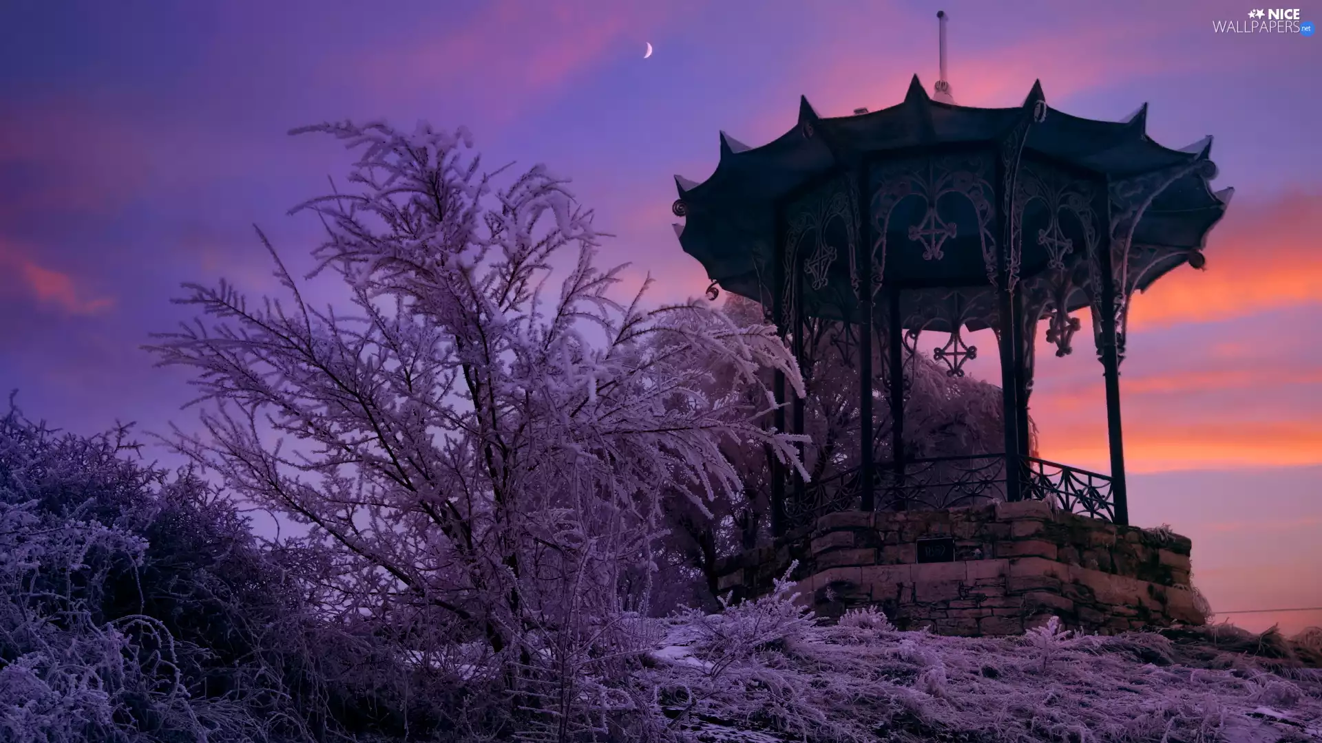 snowy, Buldings, arbour, Bush