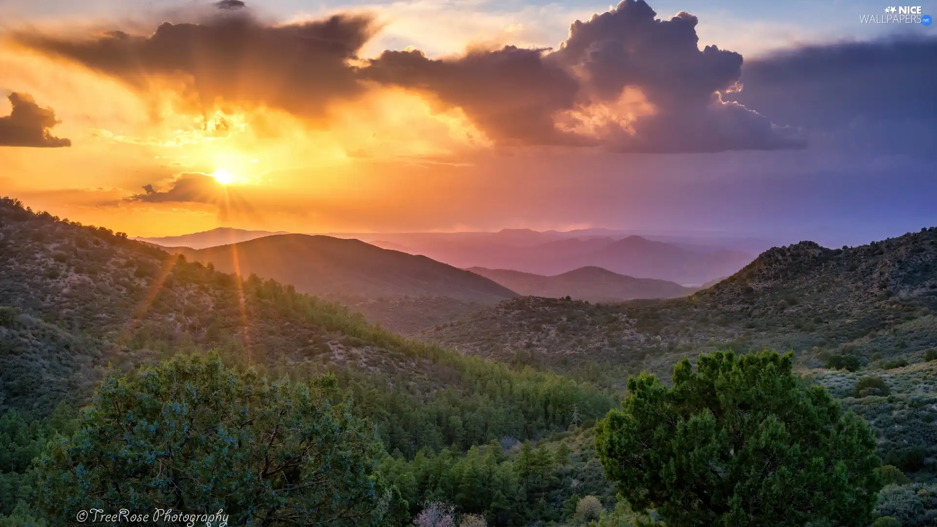 trees, Great Sunsets, Bush, clouds, viewes, Mountains