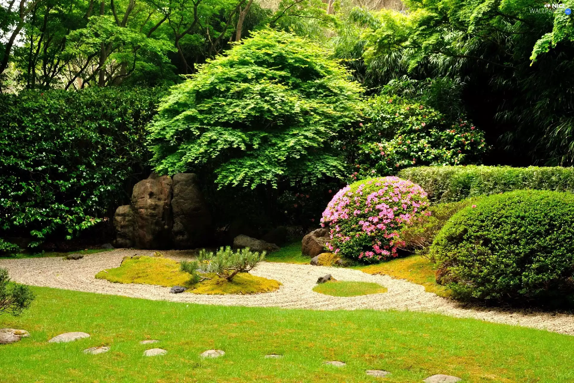 Flowers, Bush, trees, viewes, Garden