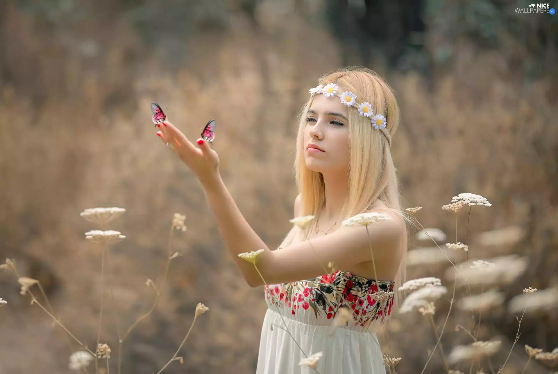 Meadow, butterflies, Blonde, wreath, Women